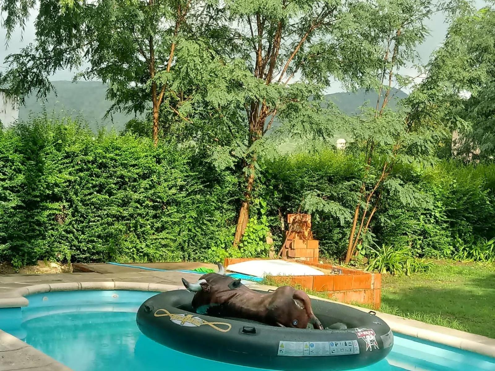 Mi sueño