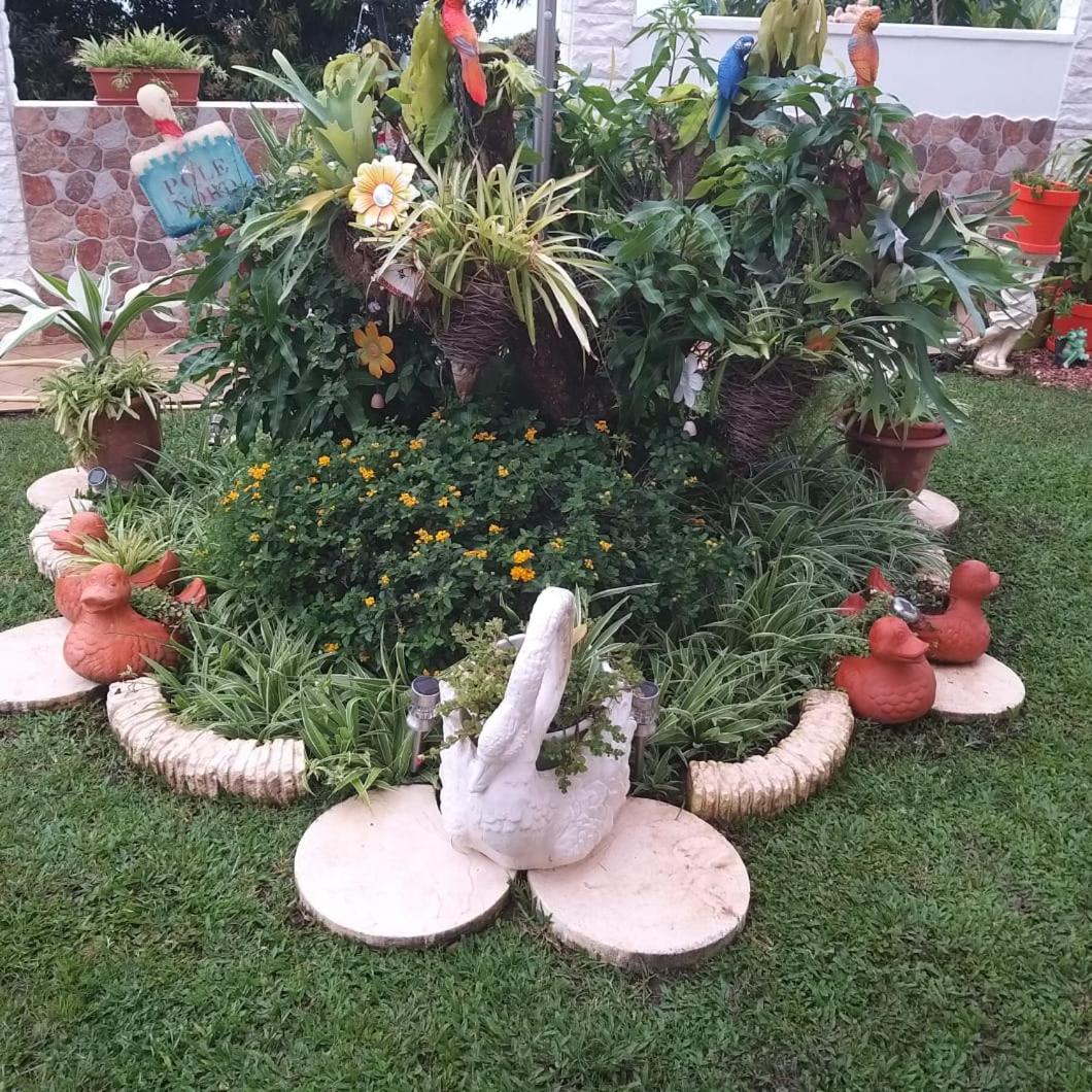 Kanalu Studio