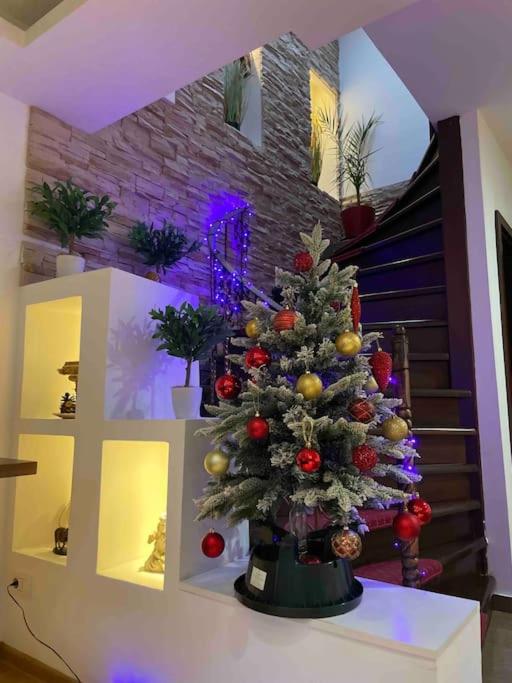 Grazia Apartment