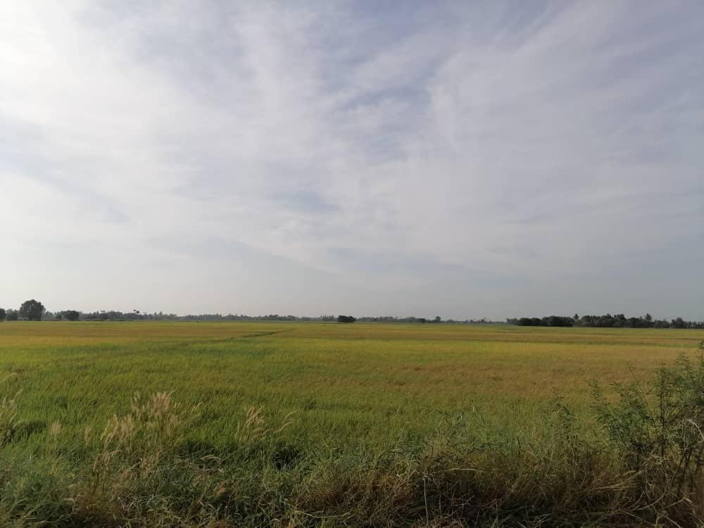 Aaira Homestay d'Alor Setar photo 2