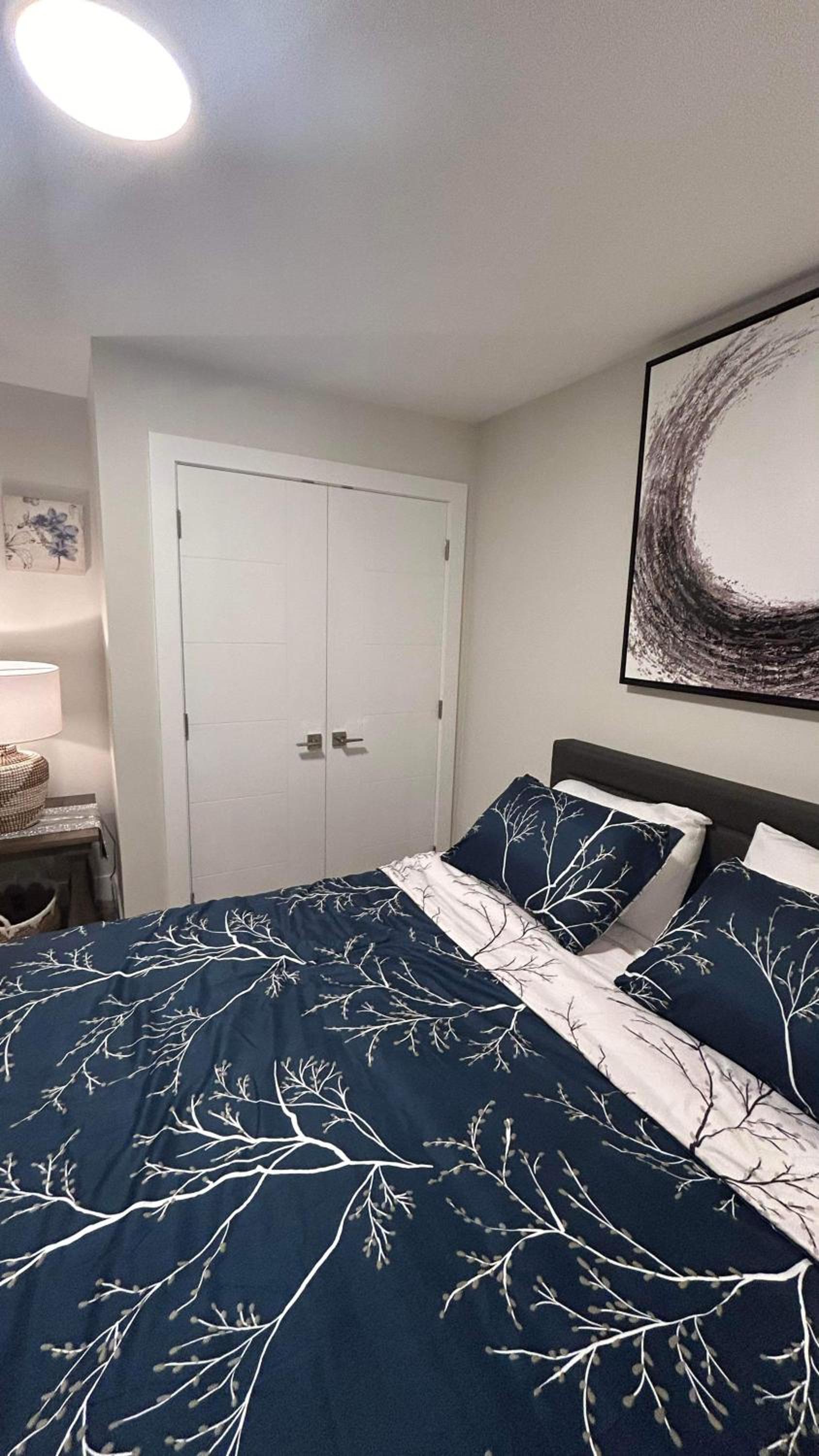 New, Spacious 2 Bedrooms in Downtown With Free Parking!