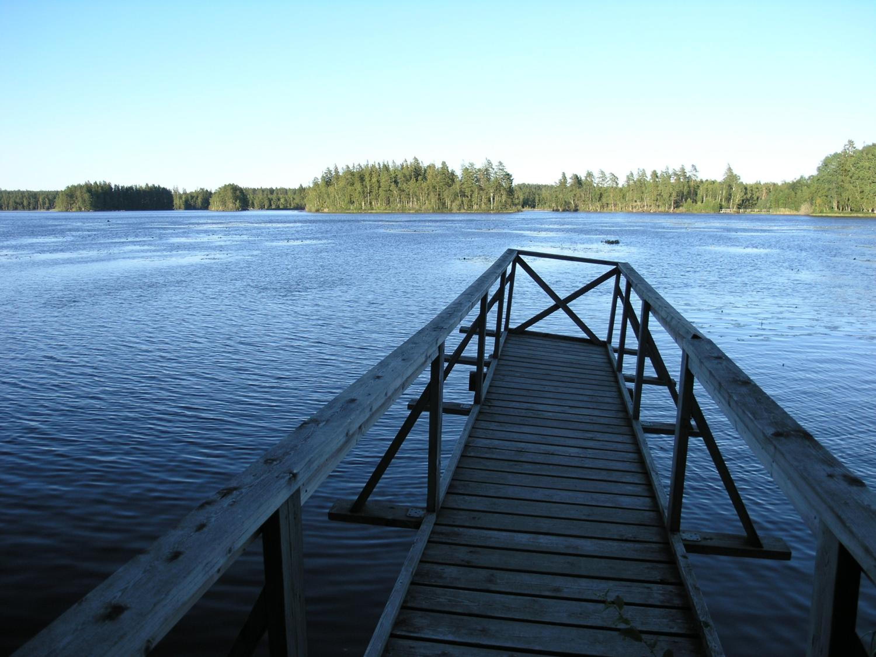 Photo 45