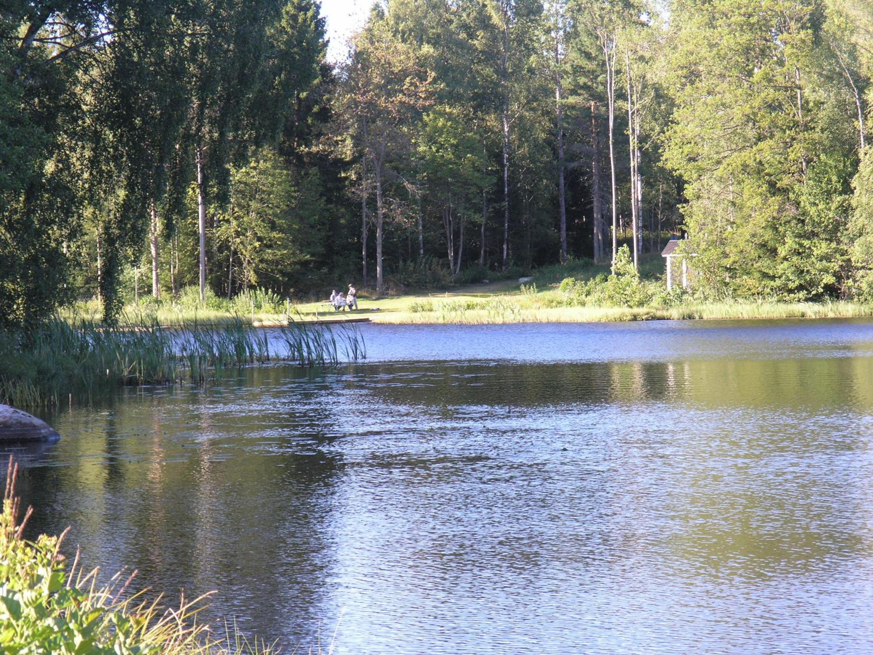 Photo 15