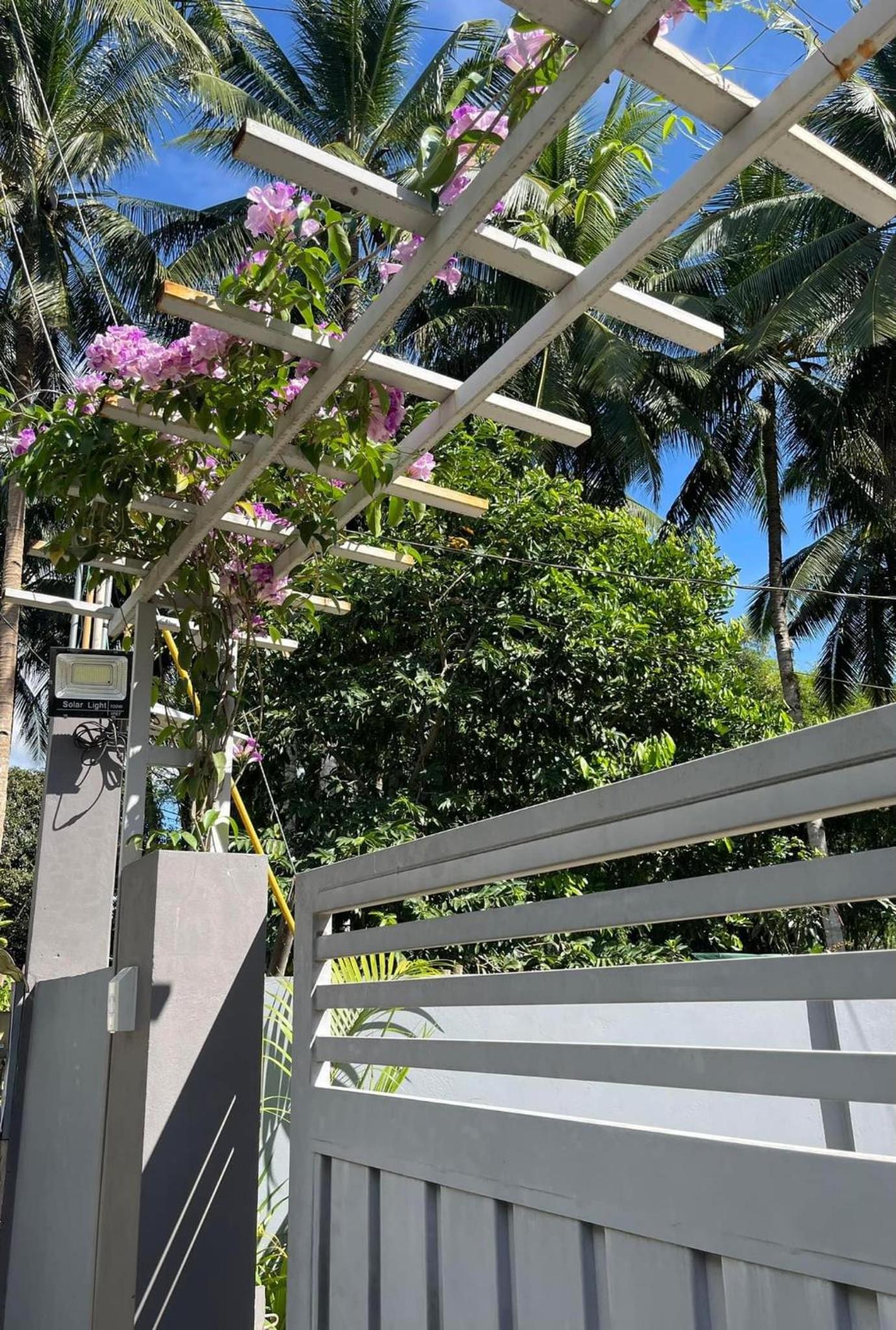 Diez Dregger Fully Furnished Apartments