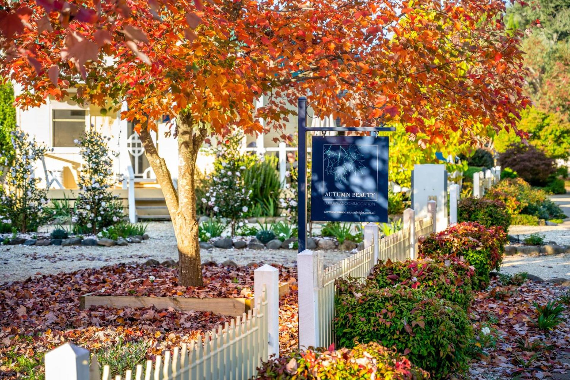 Autumn Beauty - Garden Cottage 4