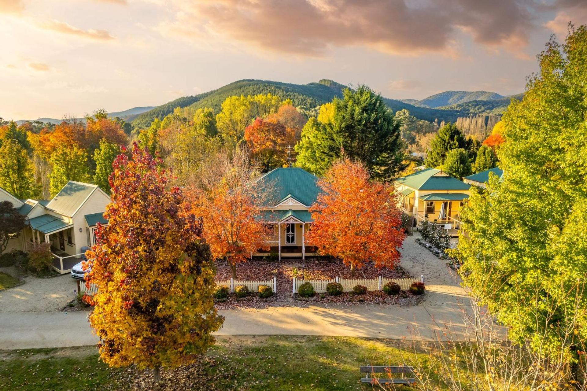 Autumn Beauty - Mountain View Cottage 3
