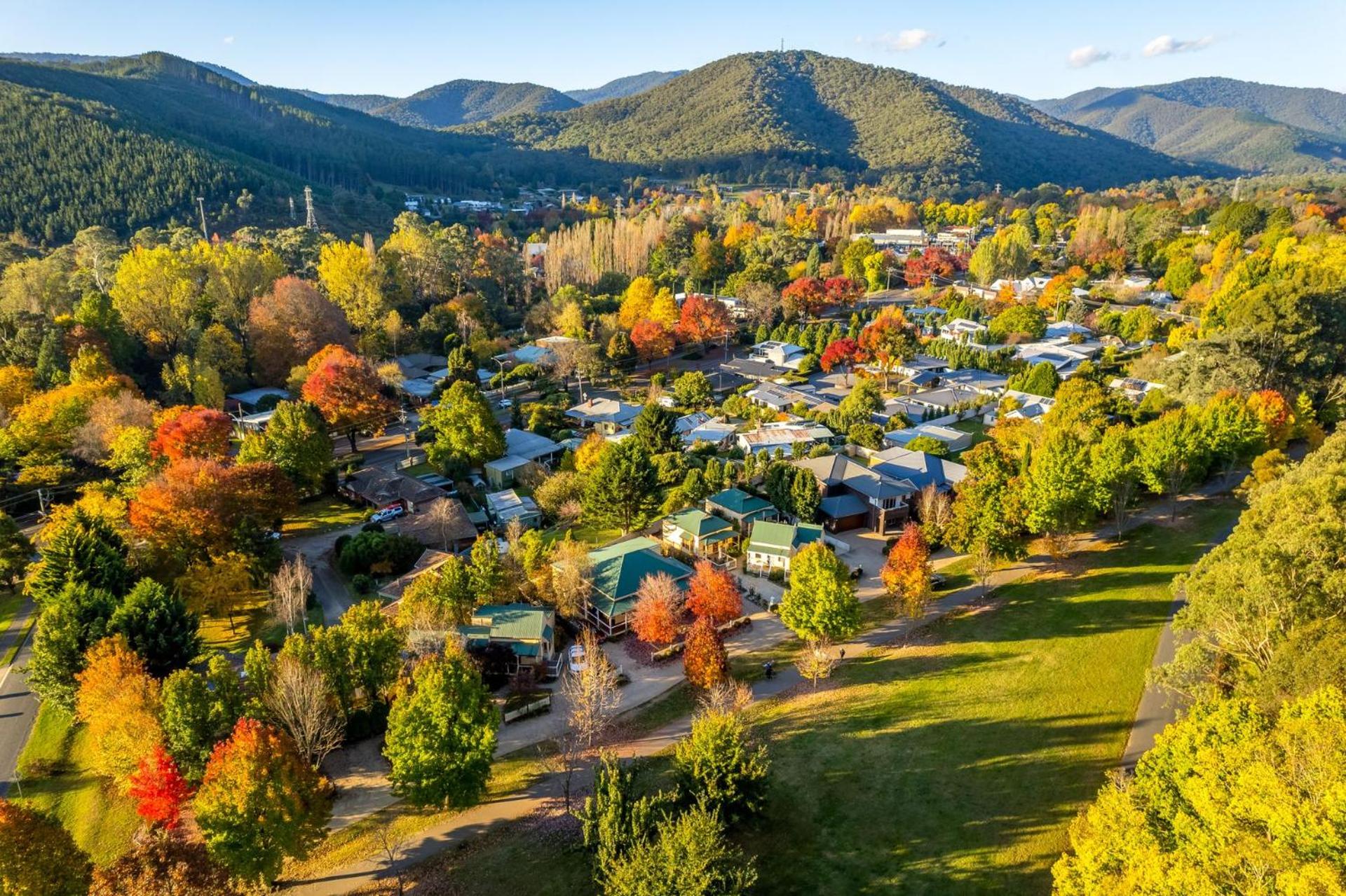 Autumn Beauty - Mountain View Cottage 3