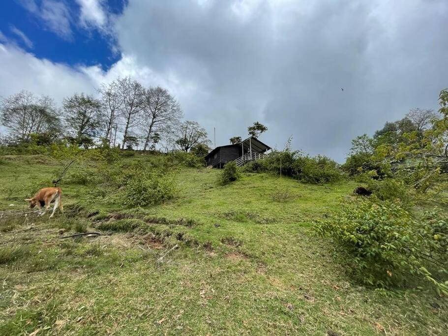 Cabaña Rural de Montaña en La Cima de Dota