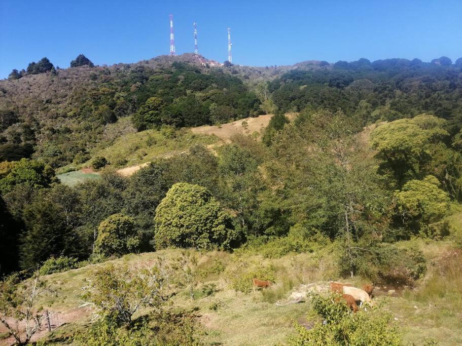 Cabaña Rural de Montaña en La Cima de Dota