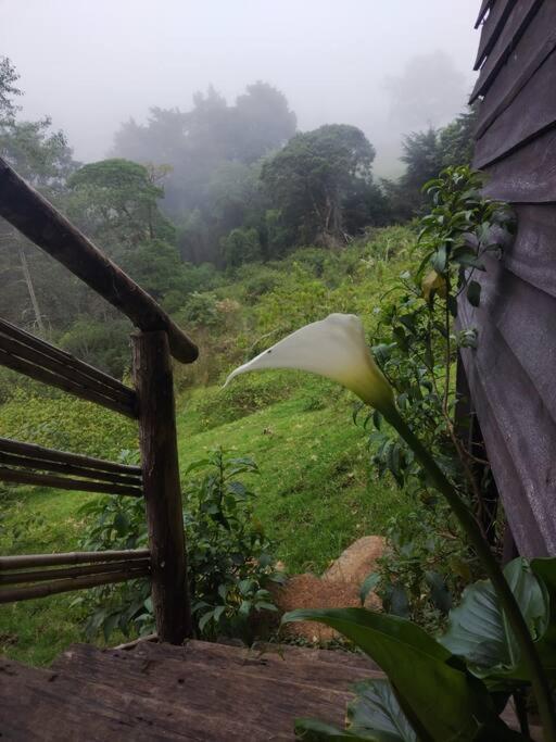 Cabaña Rural de Montaña en La Cima de Dota