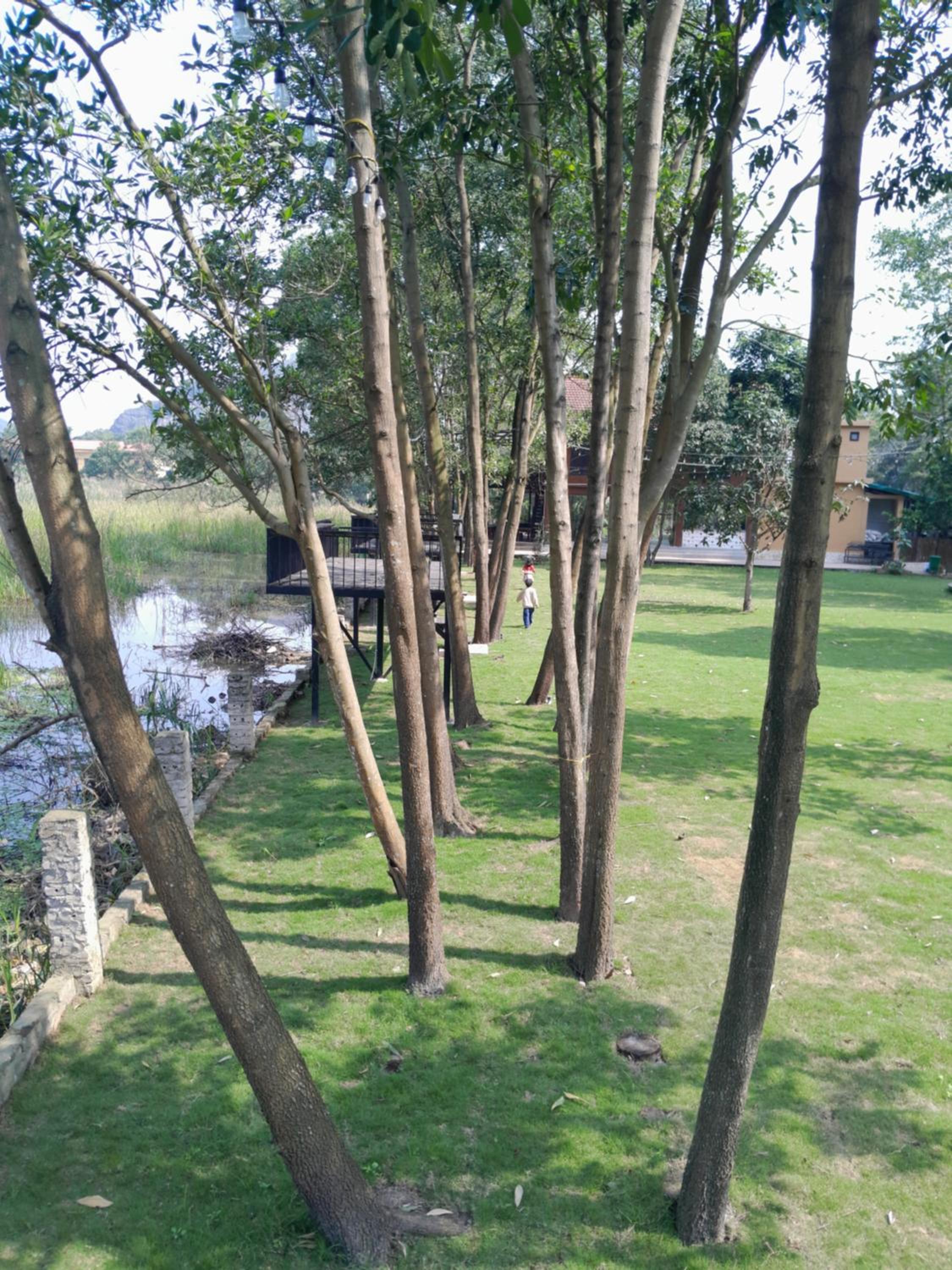 Photo 36
