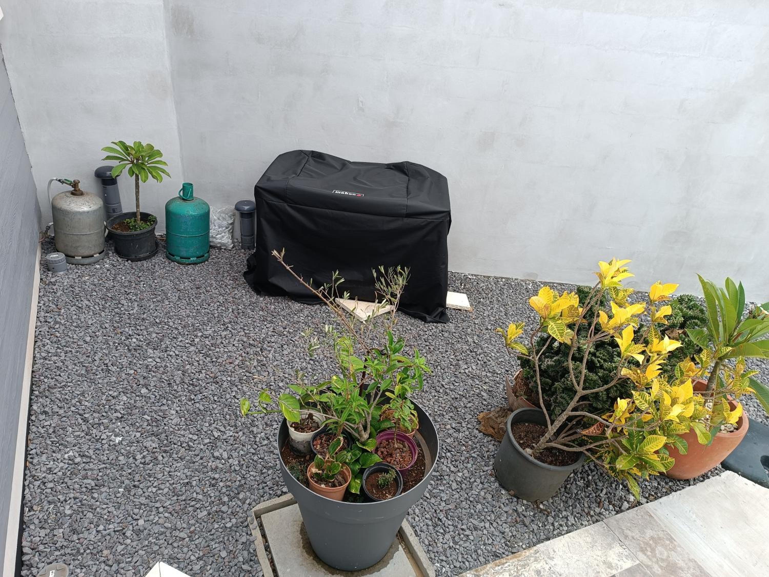Photo 31