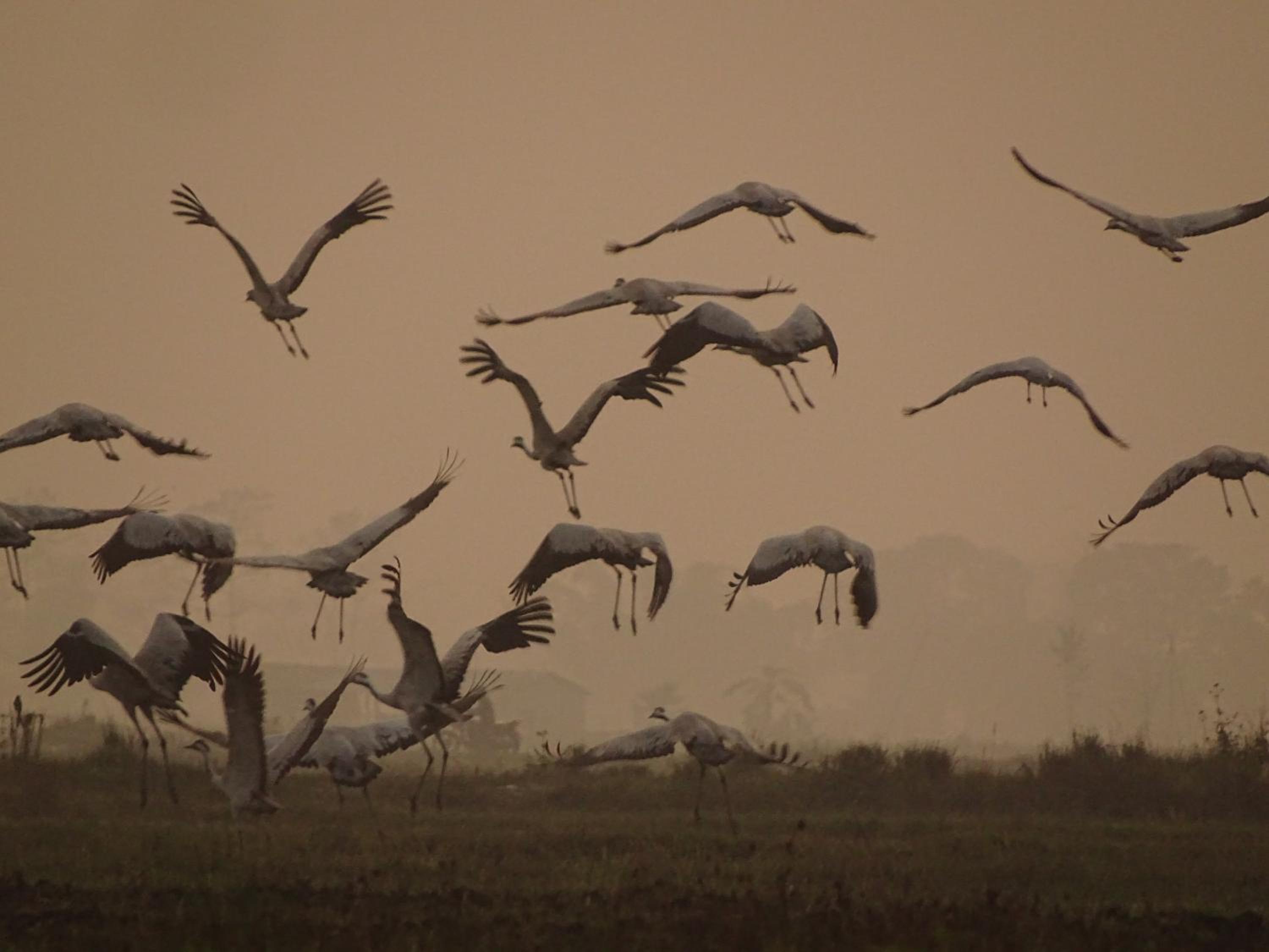 Kasara Chitwan
