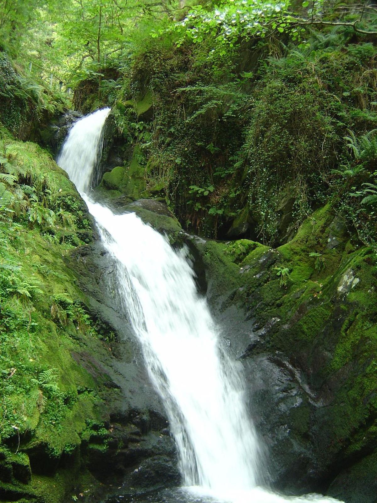Photo 33