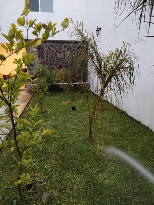 Departamento MAR