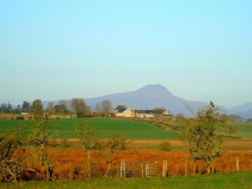 Photo 47