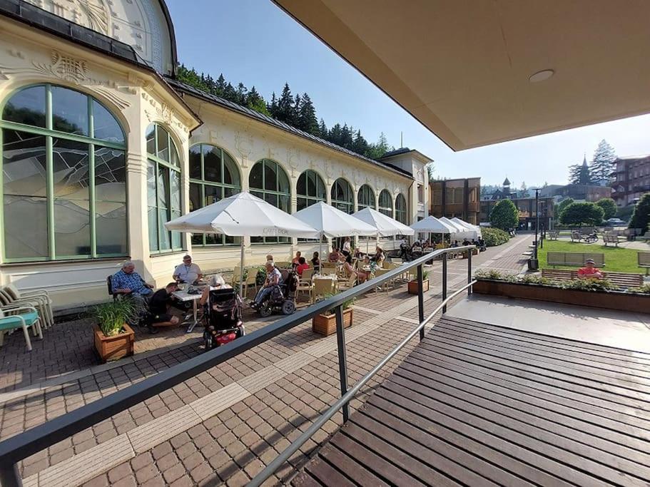 DeLuxe apartmán s terasou Janské Lázně 3 Ski&Bike by AlkaTravel