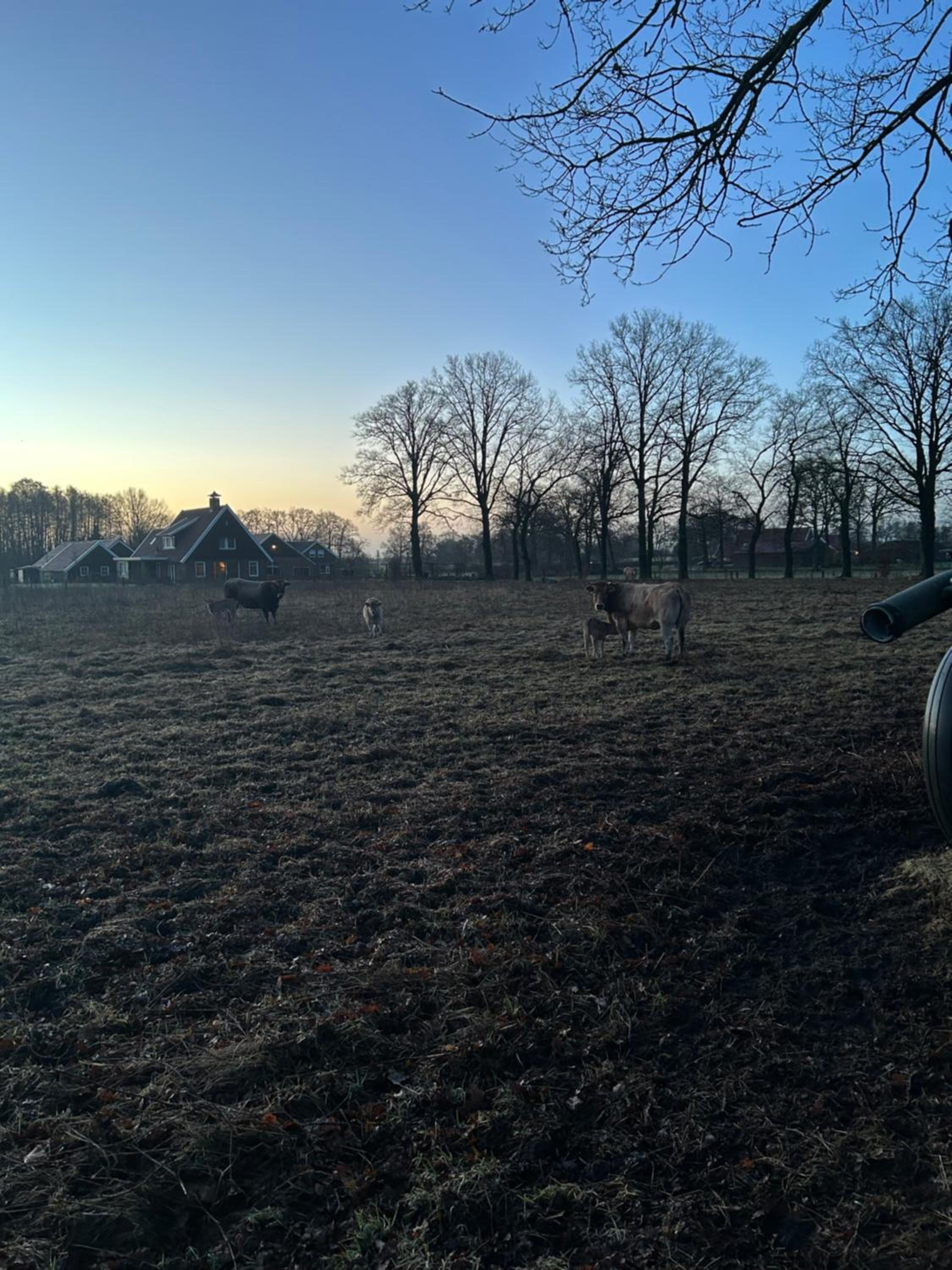 De Postelhoek B&B