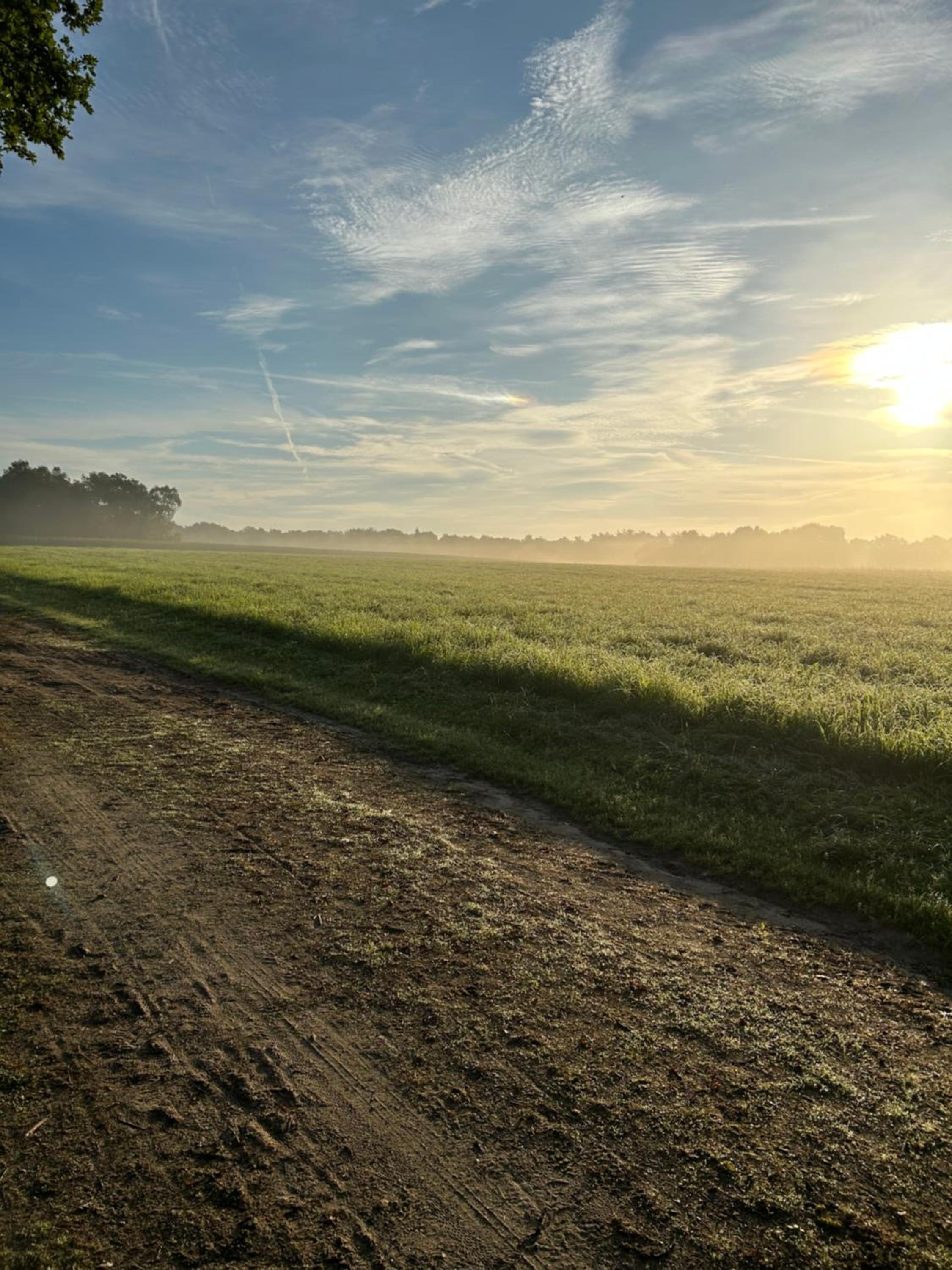 De Postelhoek B&B
