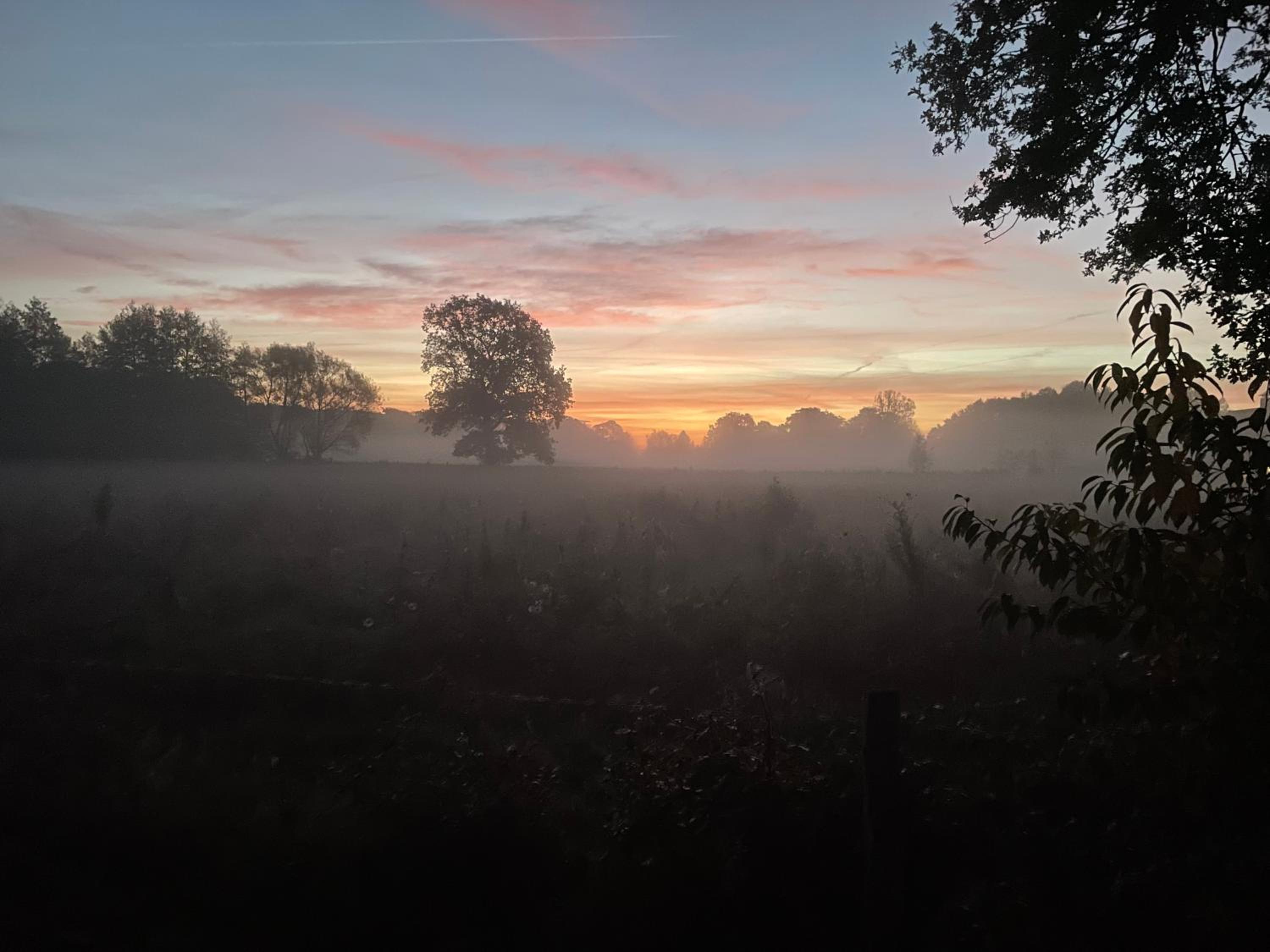De Postelhoek B&B