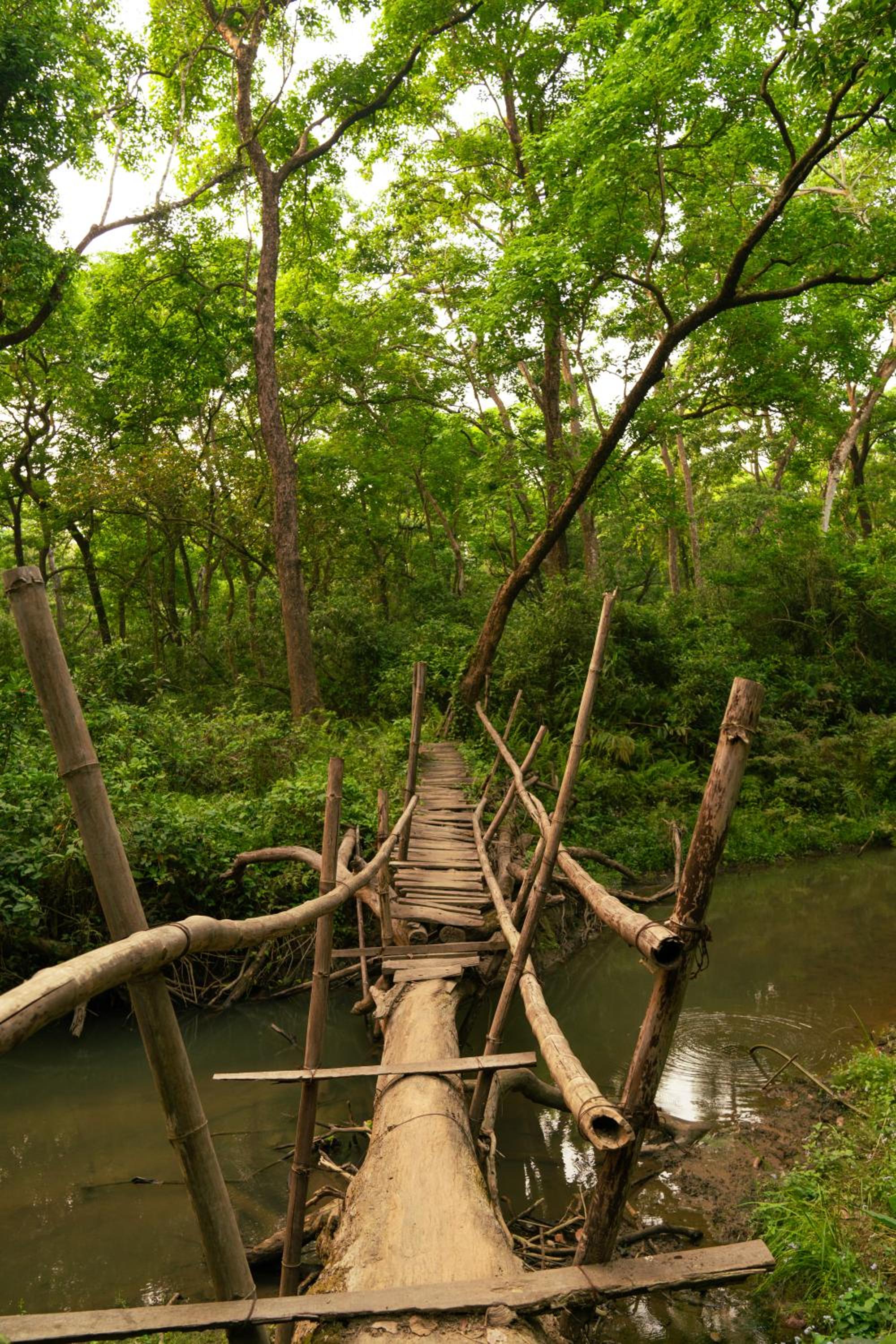Kasara Chitwan