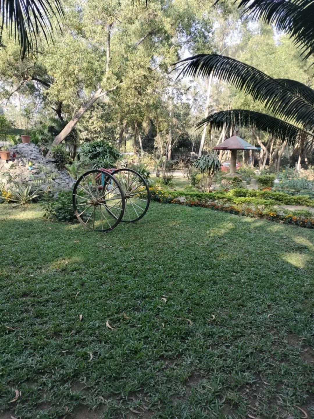 Photo 11