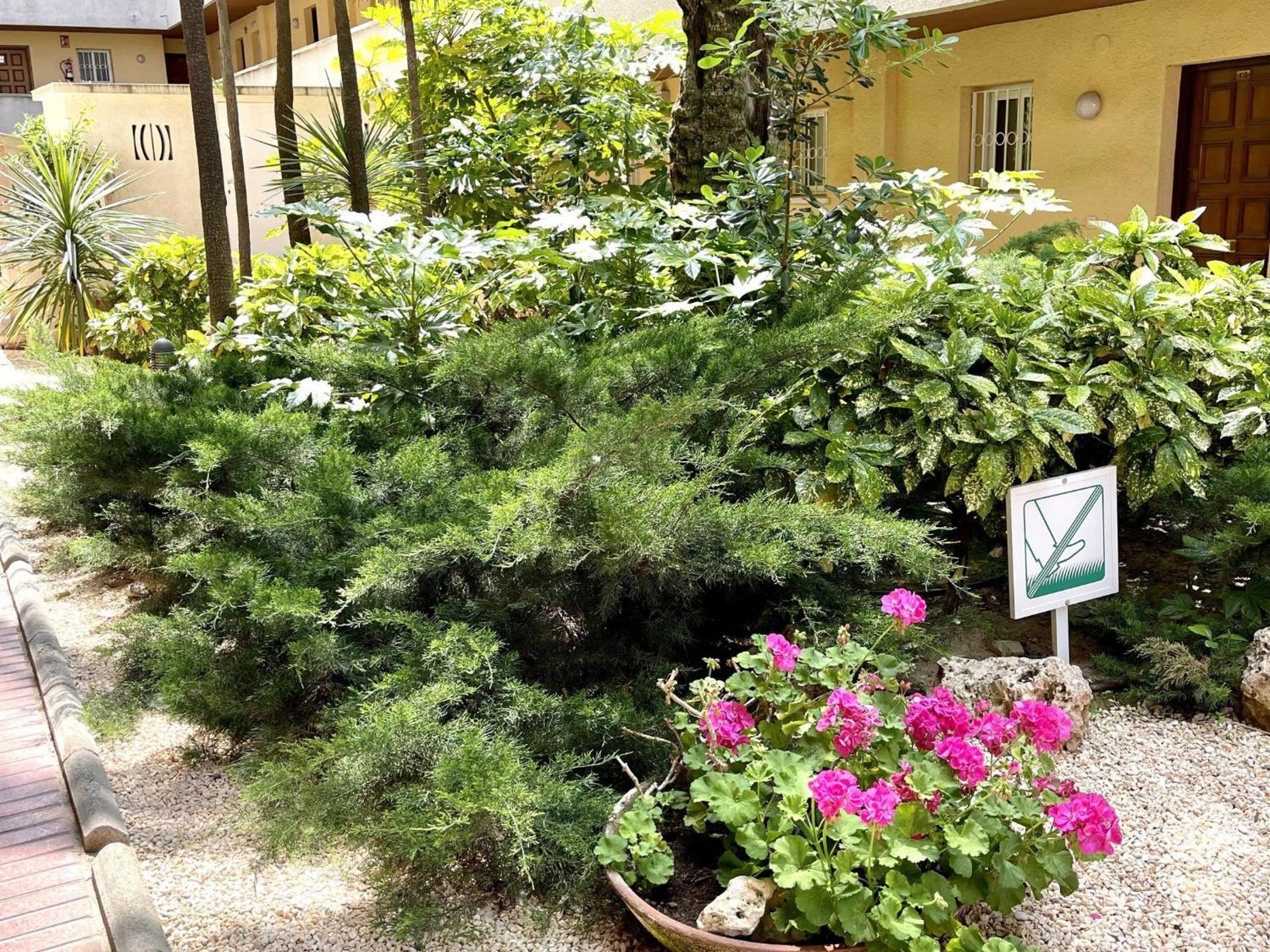 APARTBEACH TUCAN FRENTE PLAYA y CLIMATIZADO