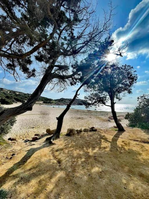 Prestigiosa Villa a Chia - Parcheggio riservato view 4