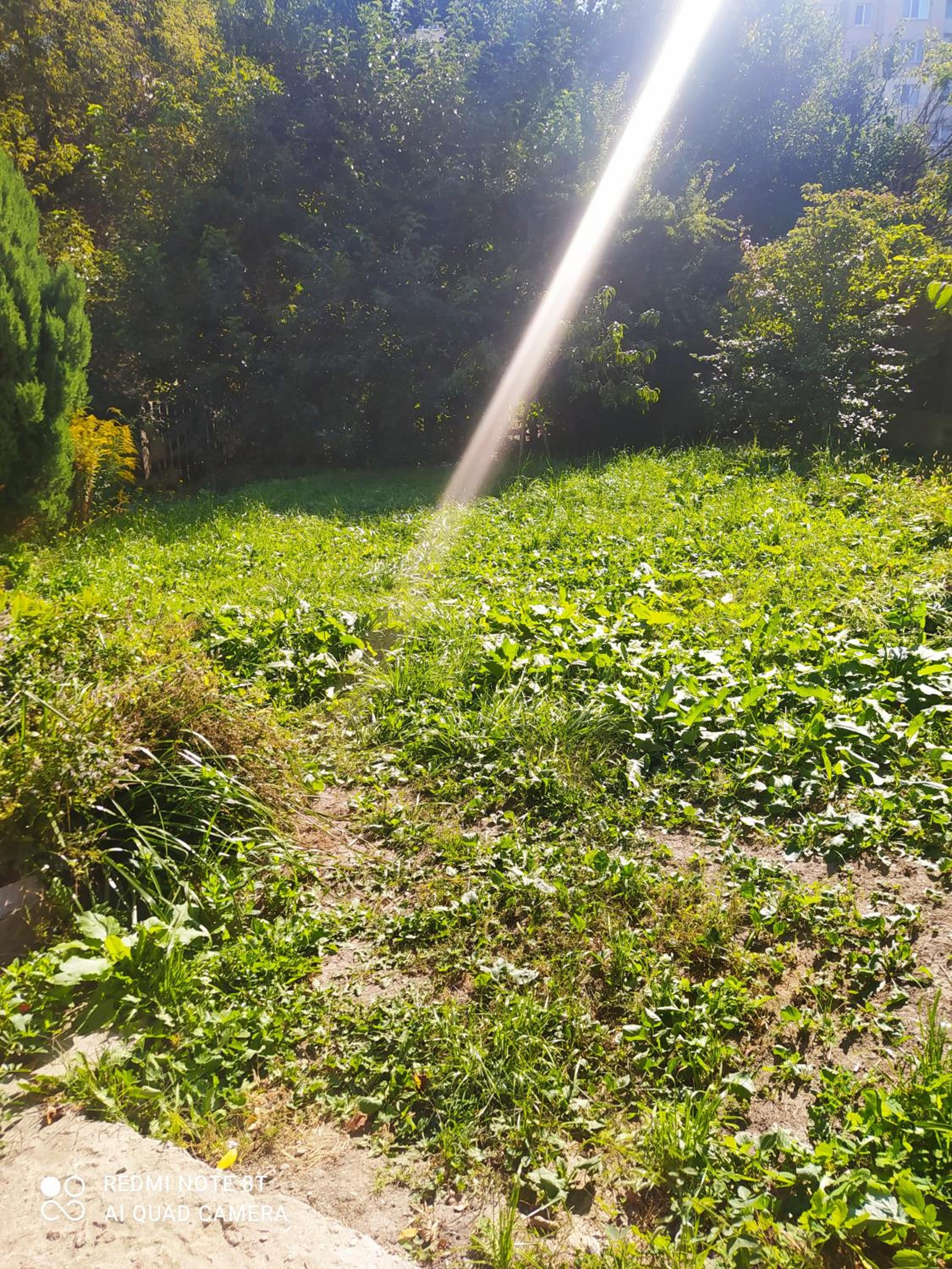 Photo 31