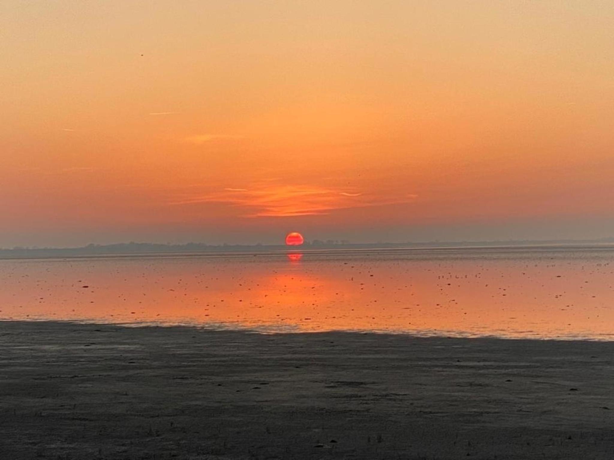 Neues Ferienhaus Chalet Nr73 zweite Reihe direkt am Wattenmeer, komplett eingezäunt