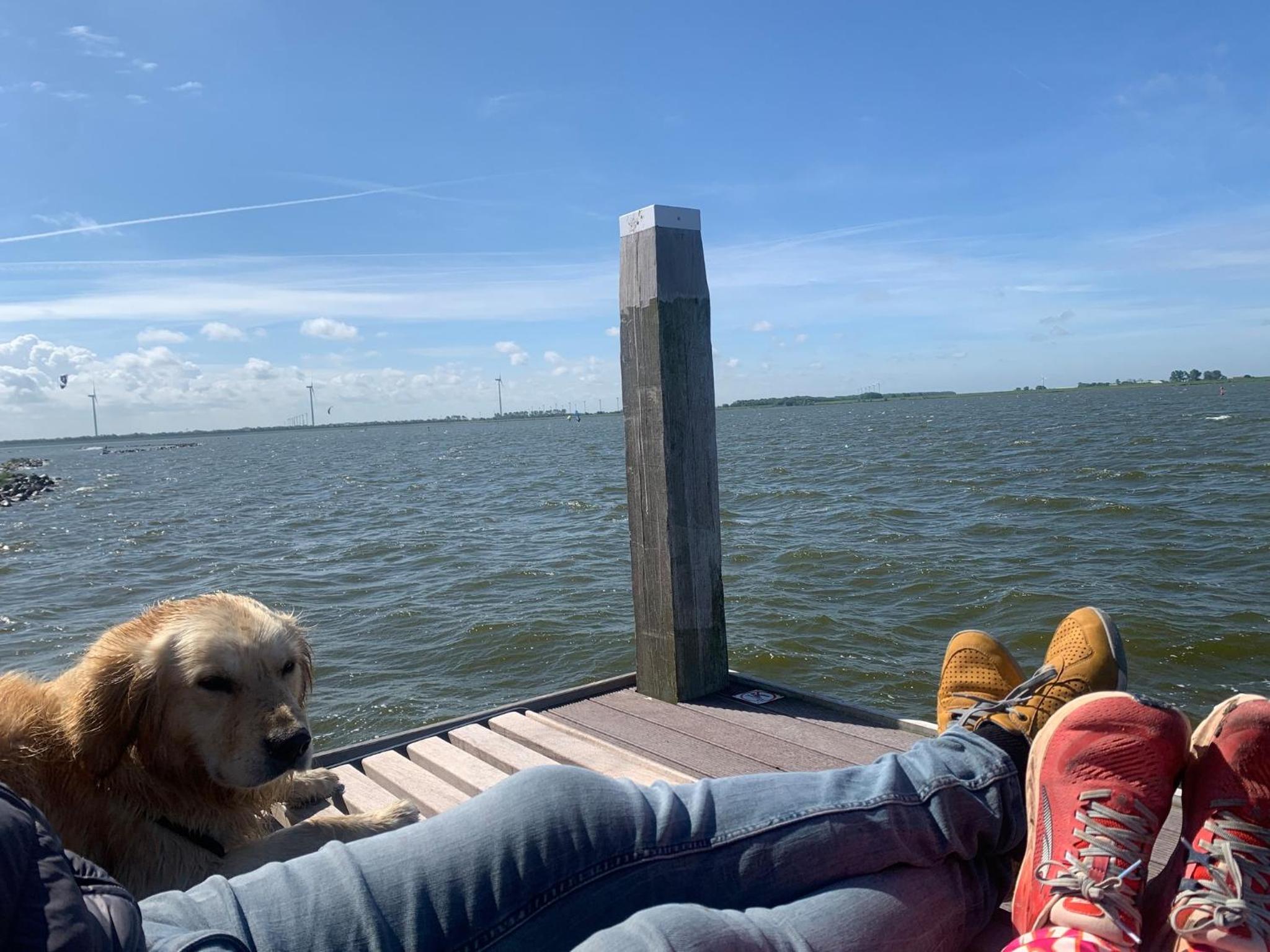 Neues Ferienhaus Chalet Nr73 zweite Reihe direkt am Wattenmeer, komplett eingezäunt