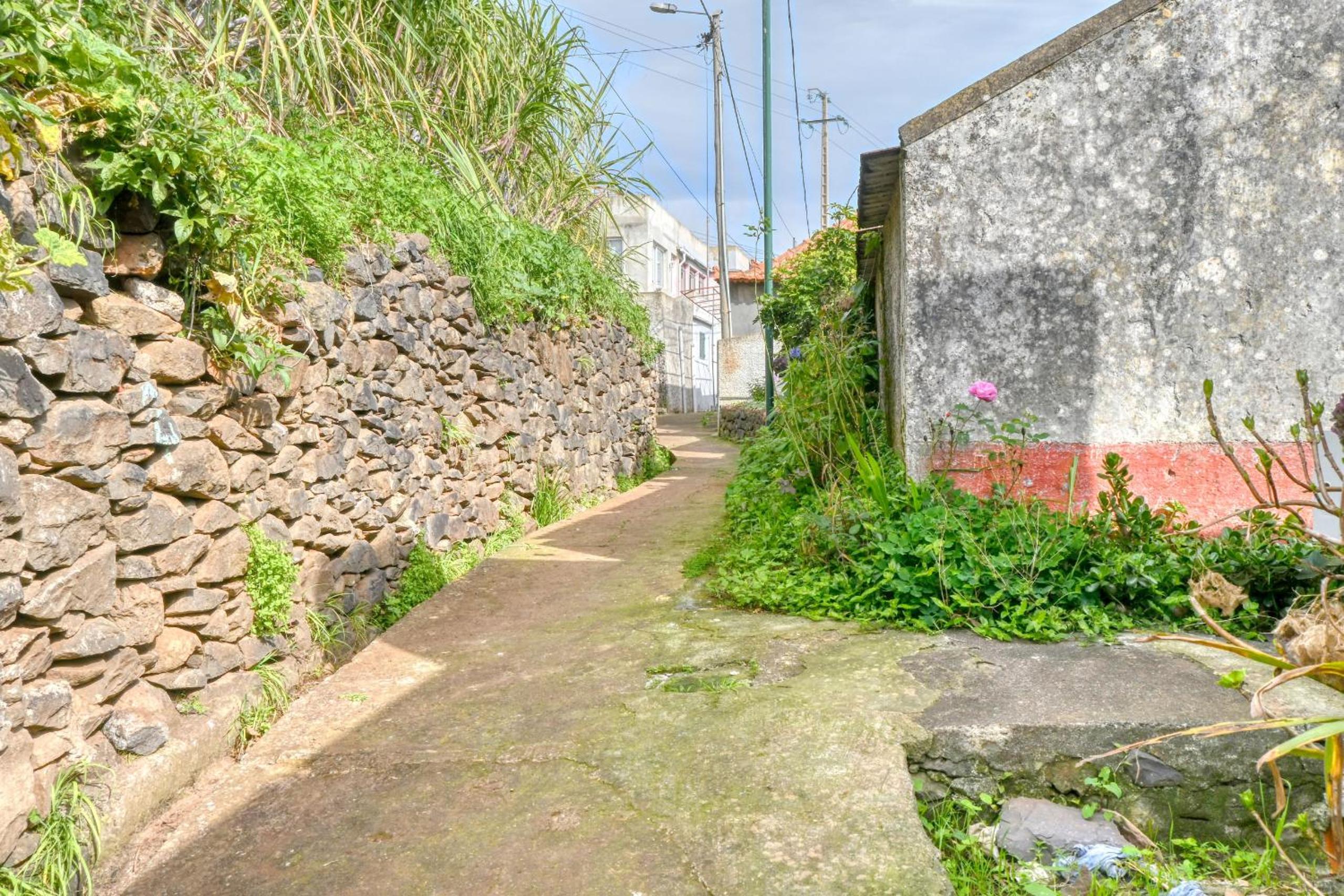 Cantinho da Mikaela, A Home in Madeira view 4