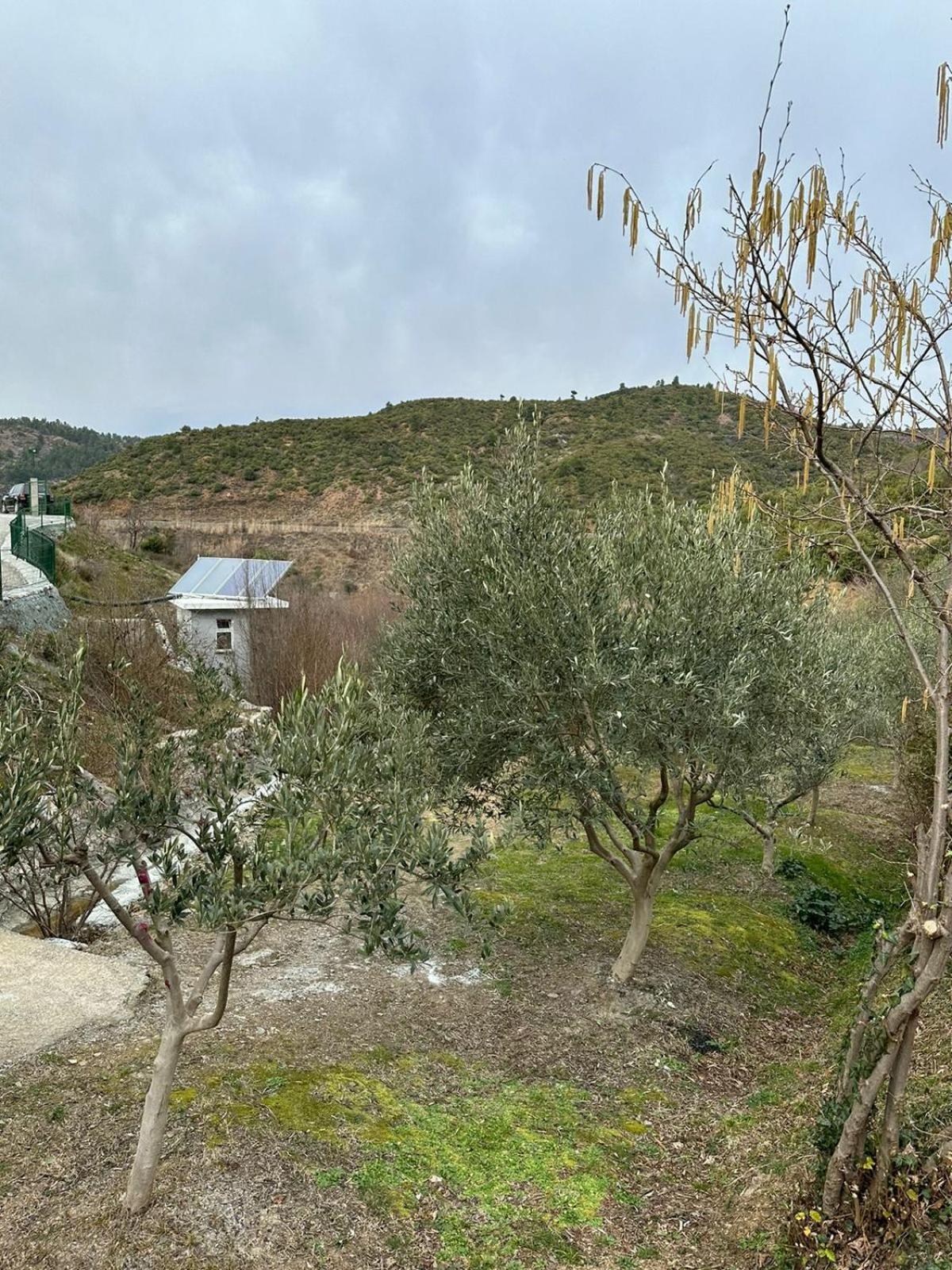 Qyteza Guest House & Camping