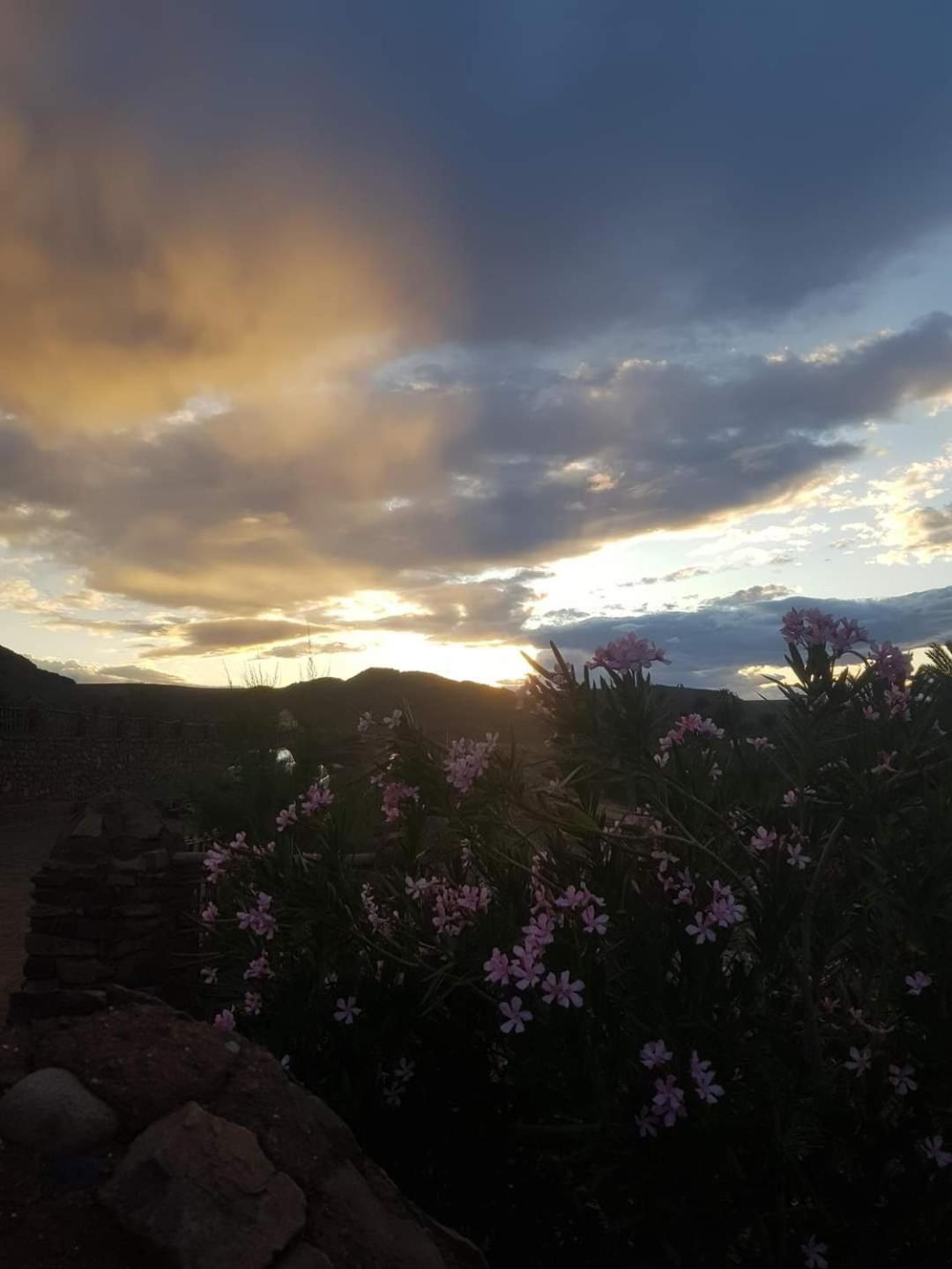Ouarzazate Vacations - ecolodge bivouac des aigles - Property Image 24