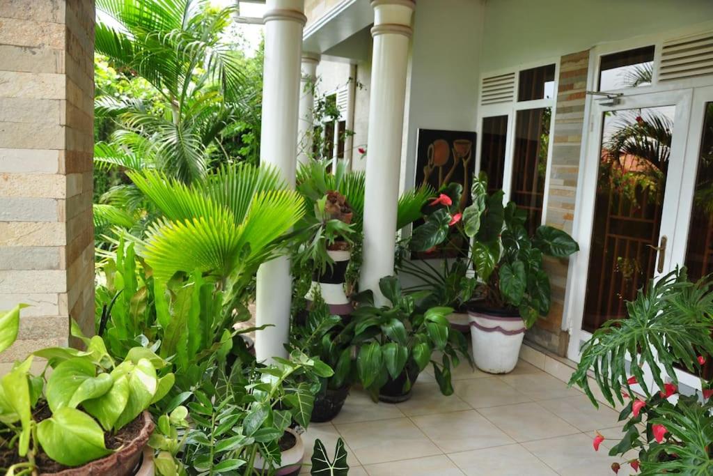 VILLA MODERNE CHEZ YVONNE view 3