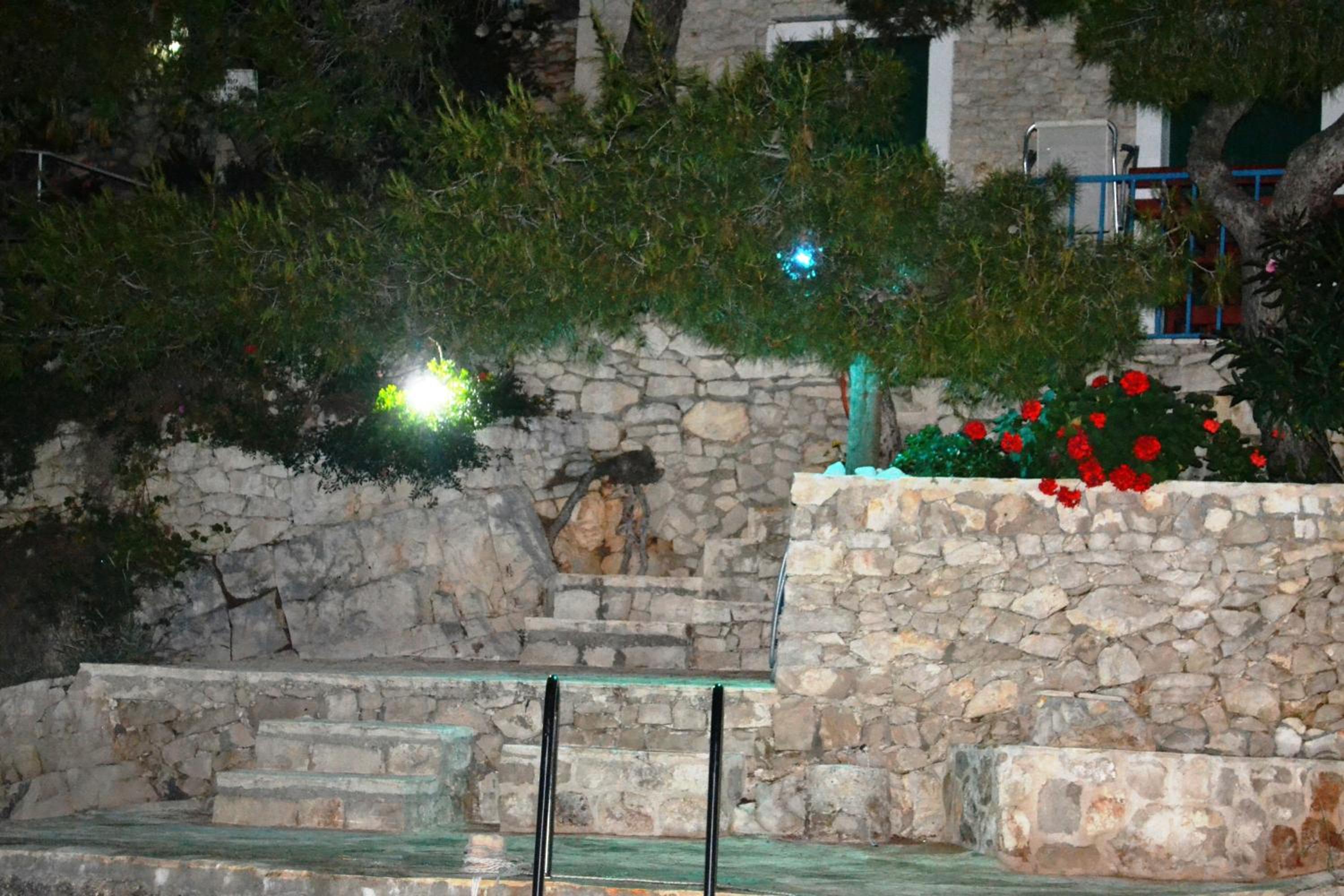 Photo 56