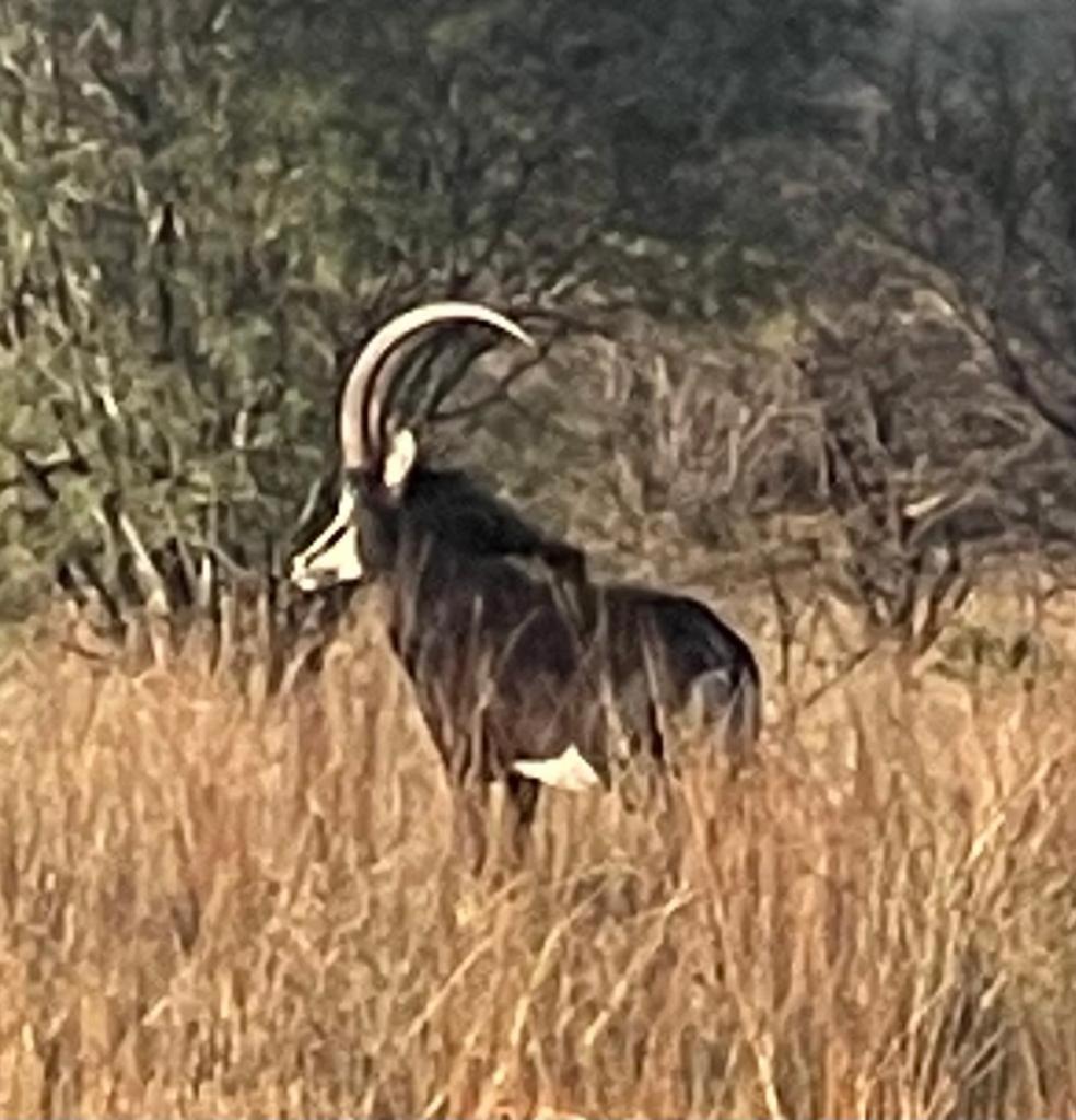 Lama Lama Game Reserve view 4