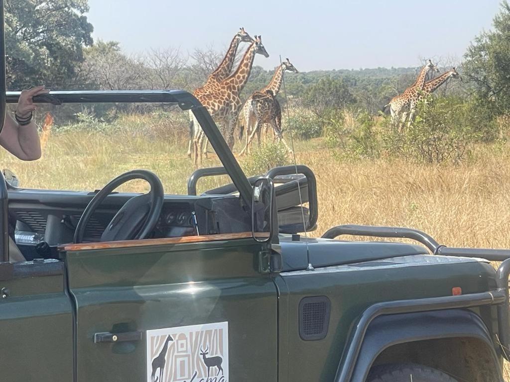 Lama Lama Game Reserve view 5