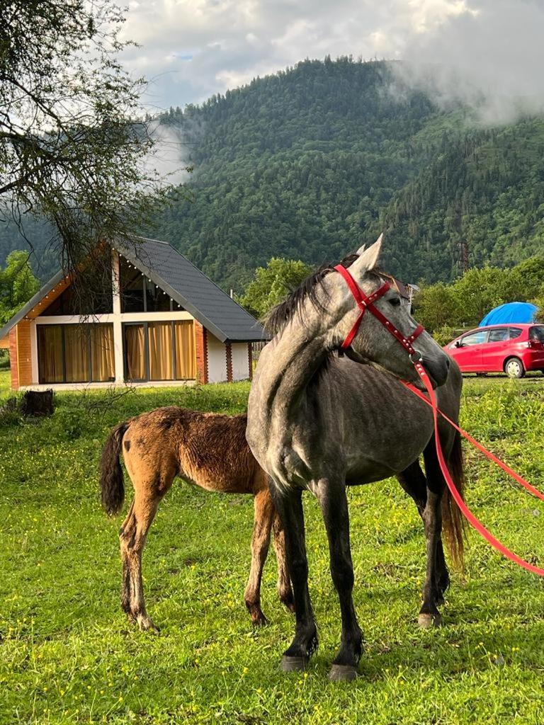 Borjomi inn Cottages