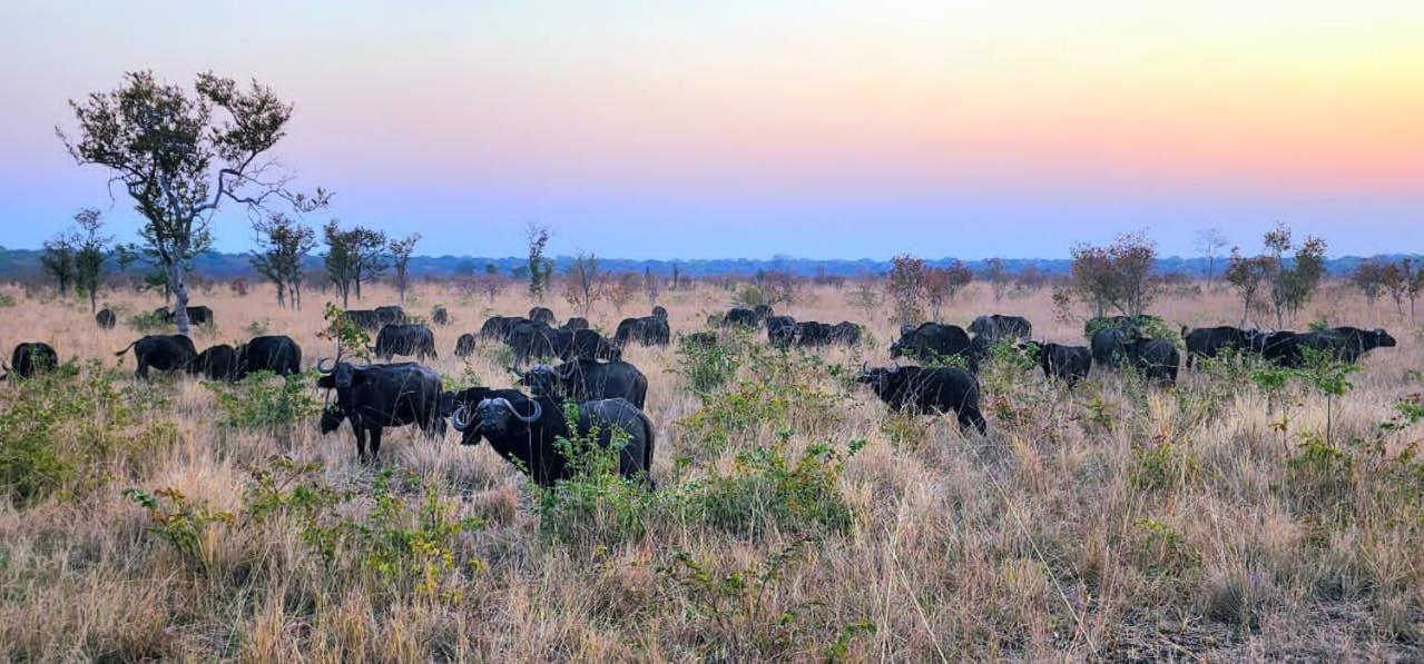 Sukulu Reserve view 3