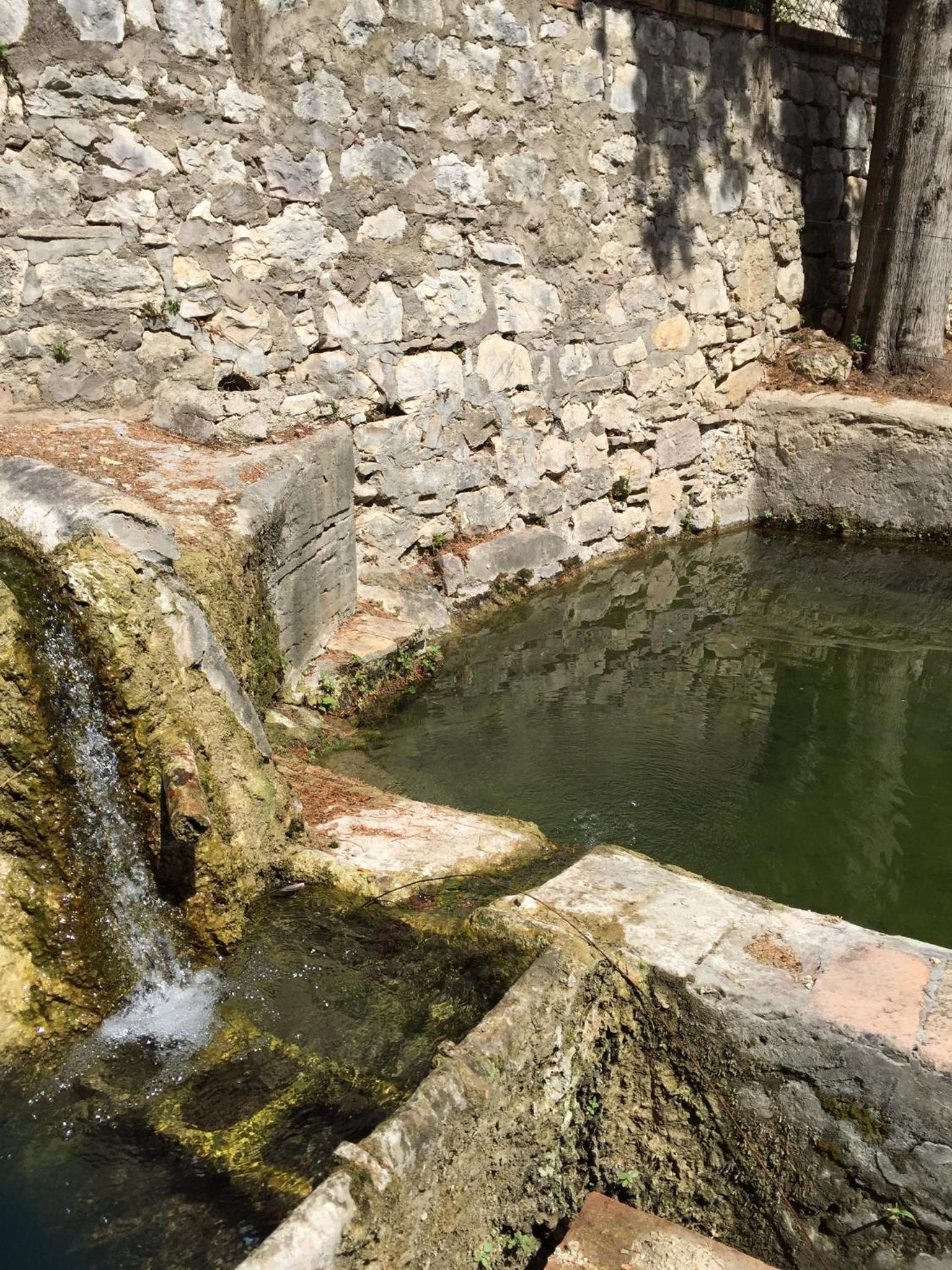 B&B Cantico Delle Creature