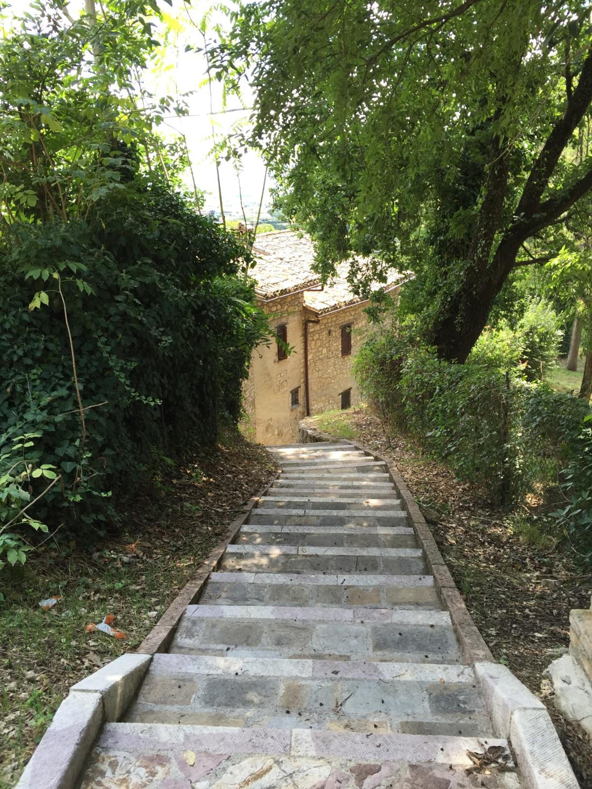 B&B Cantico Delle Creature