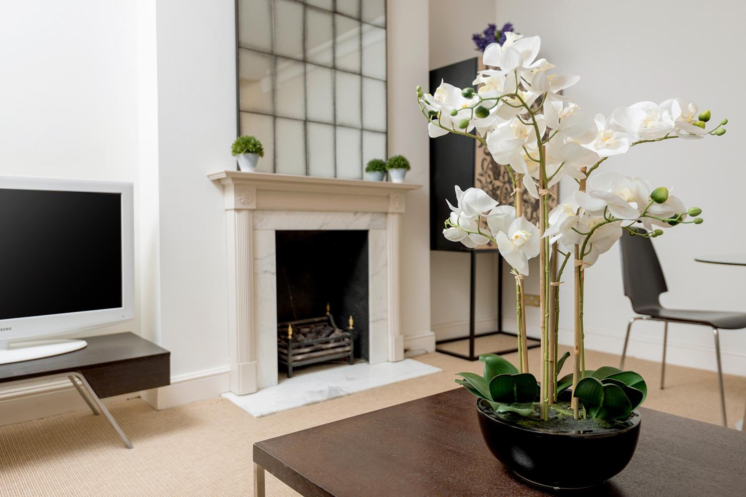 Spacious, Calm One Bedroom