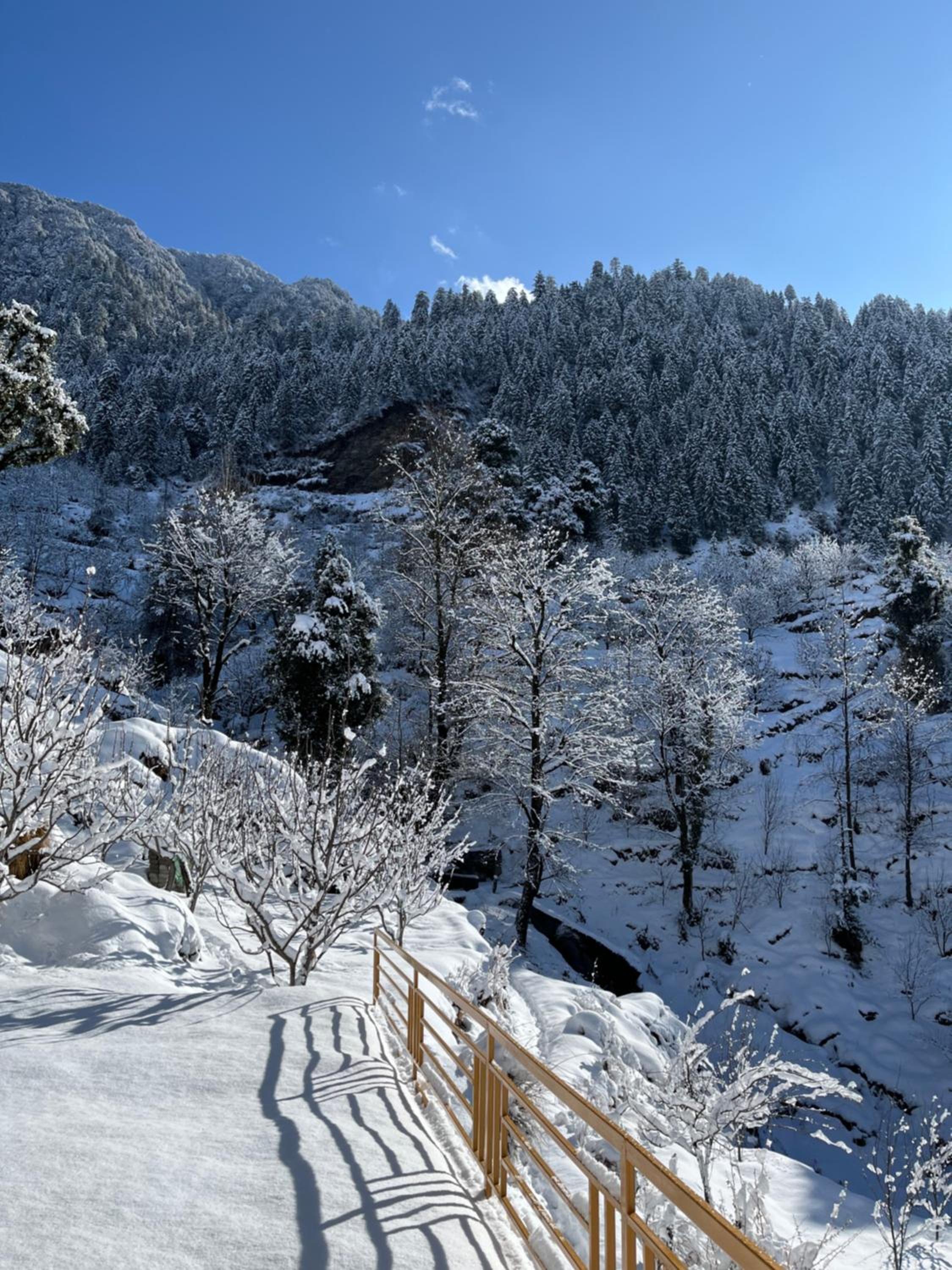 Flüstern Homestay