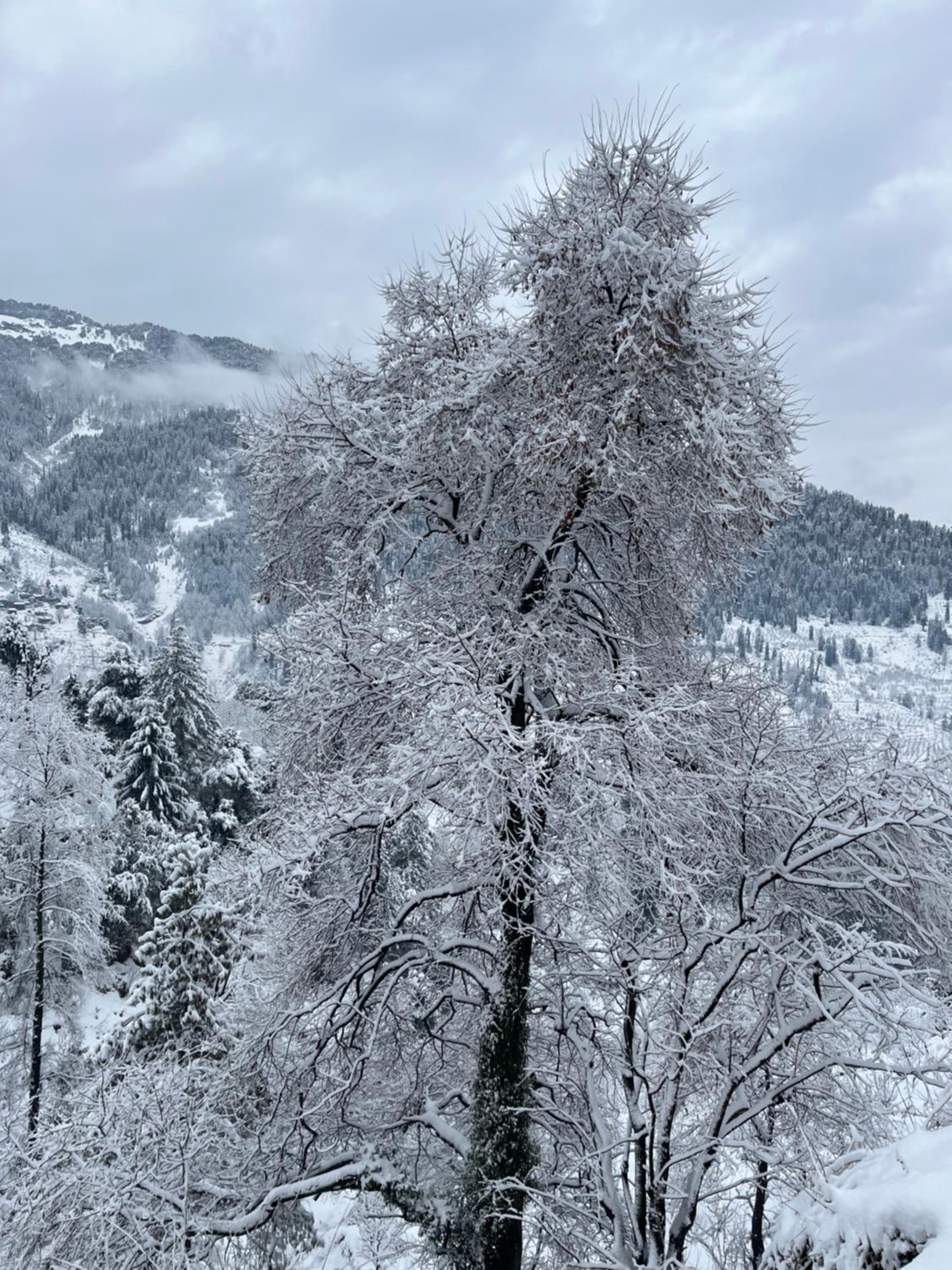 Flüstern Homestay