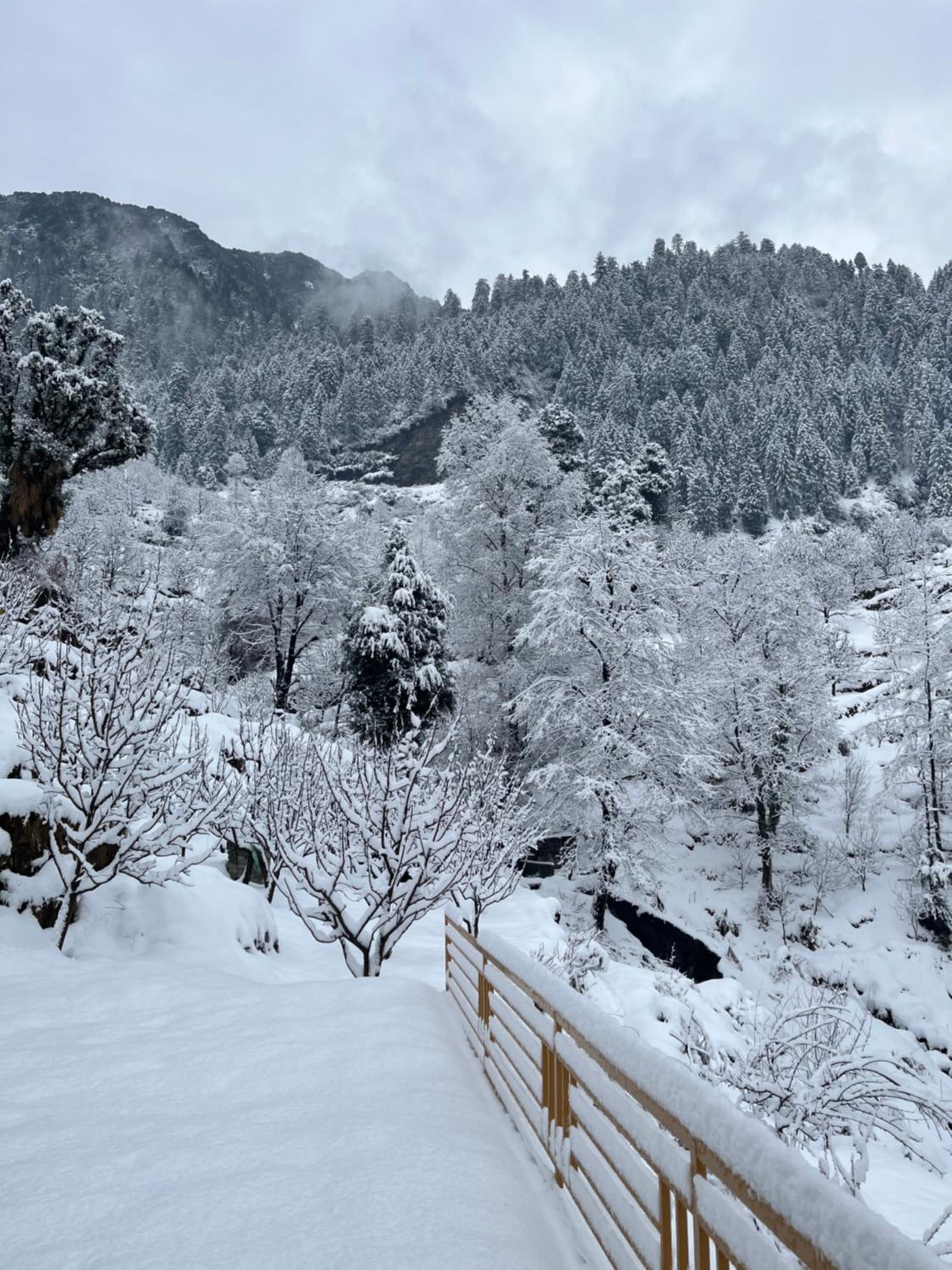Flüstern Homestay