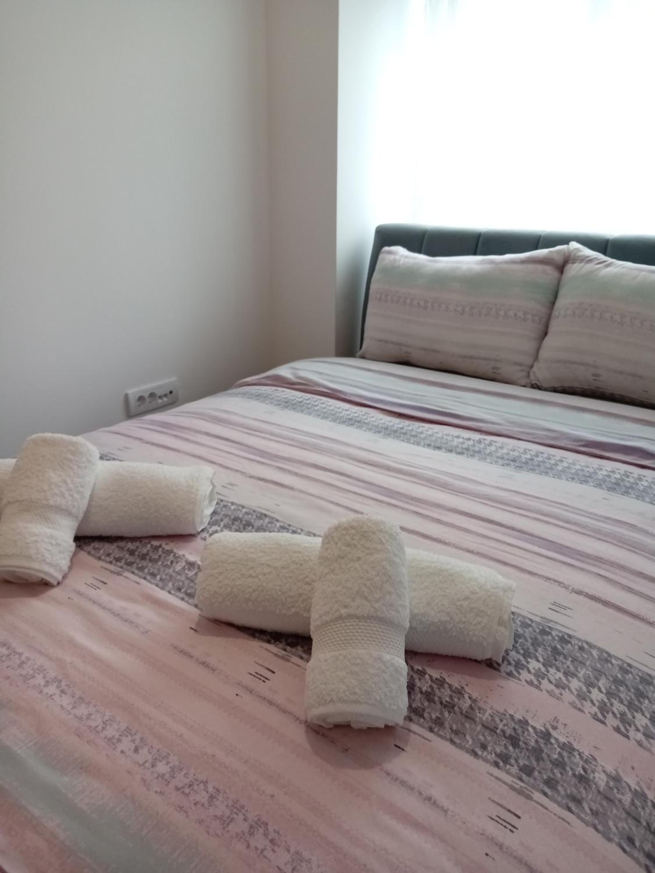 Tera apartment Zemun