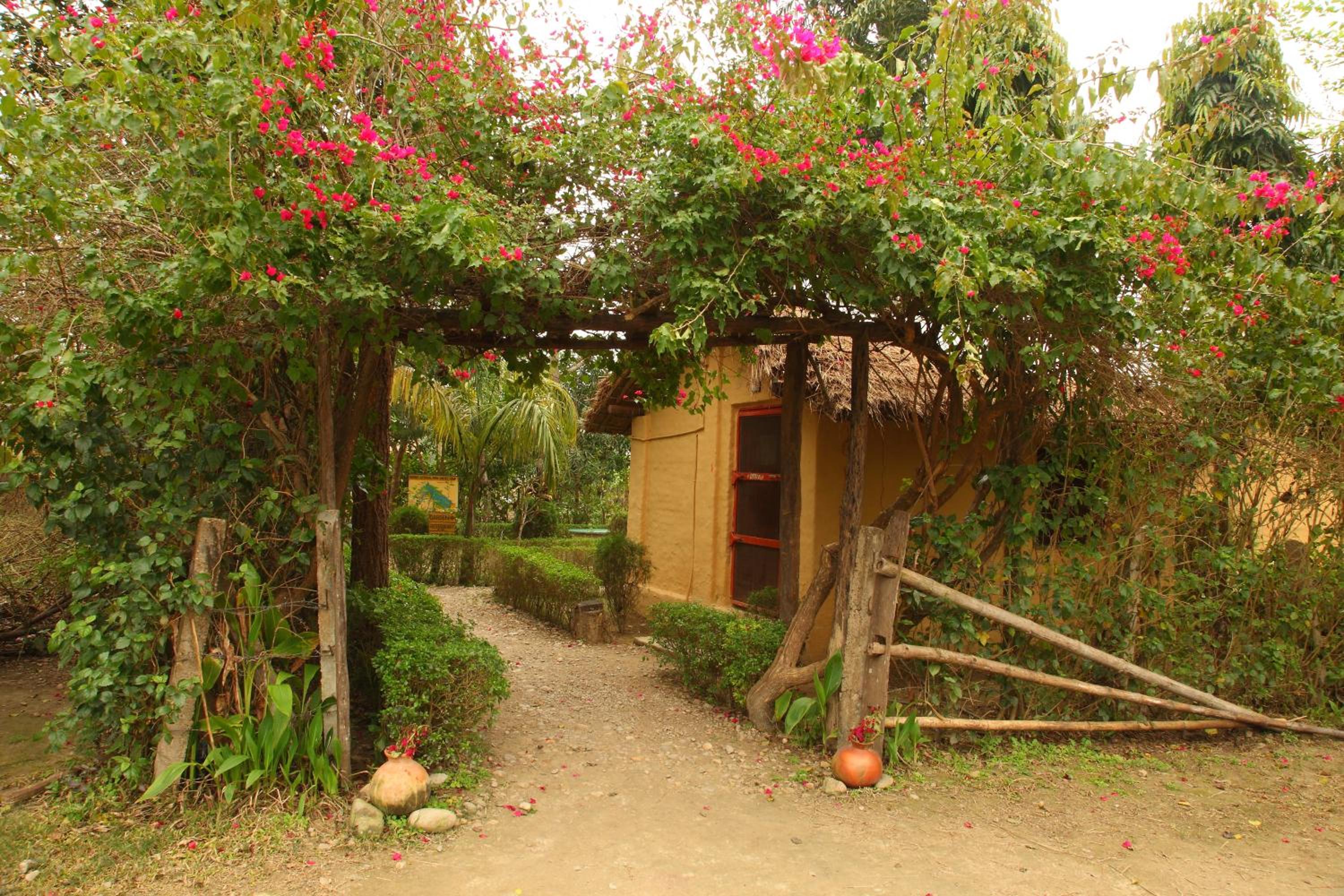 Forest Hideaway Resort Pvt Ltd