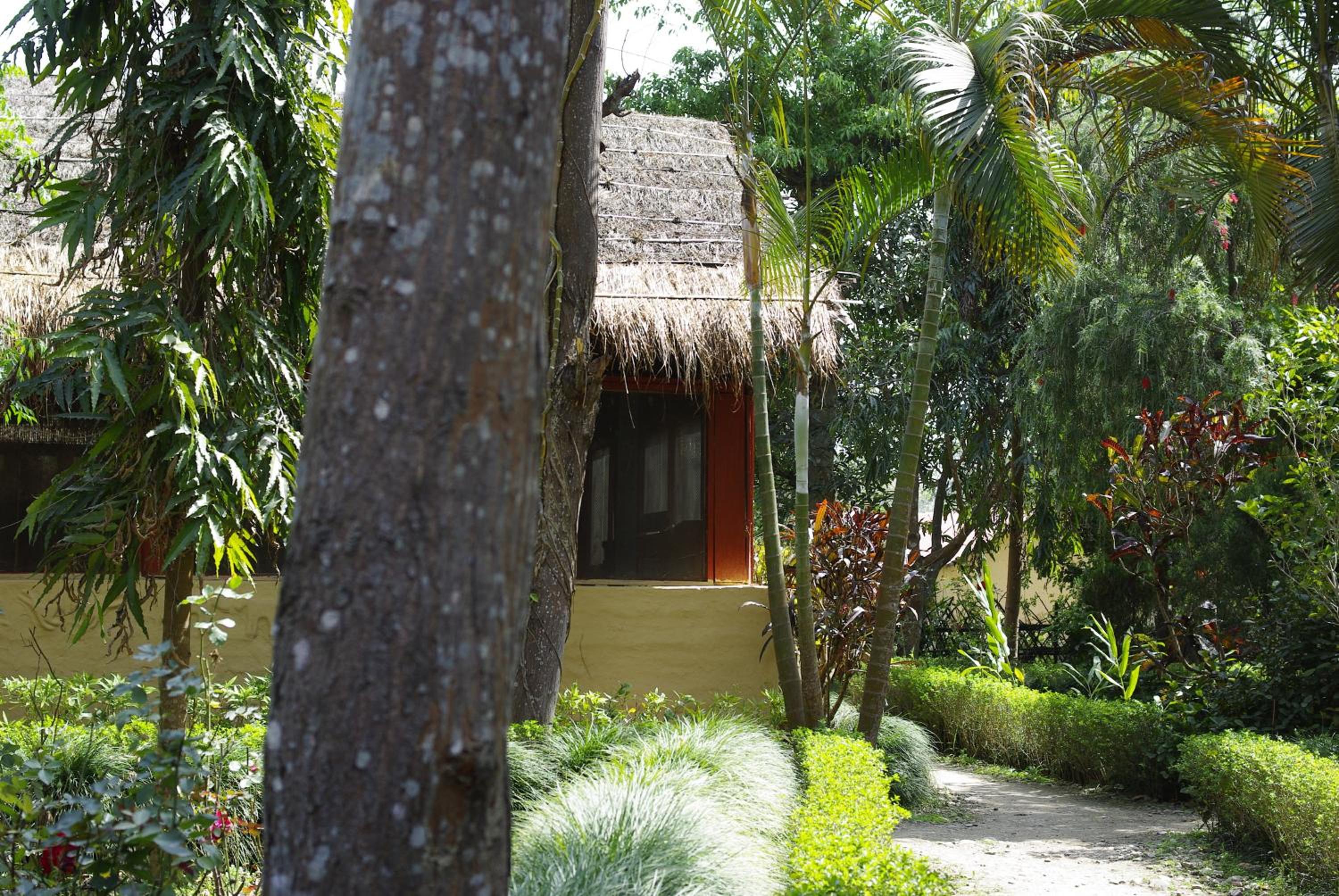 Forest Hideaway Resort Pvt Ltd