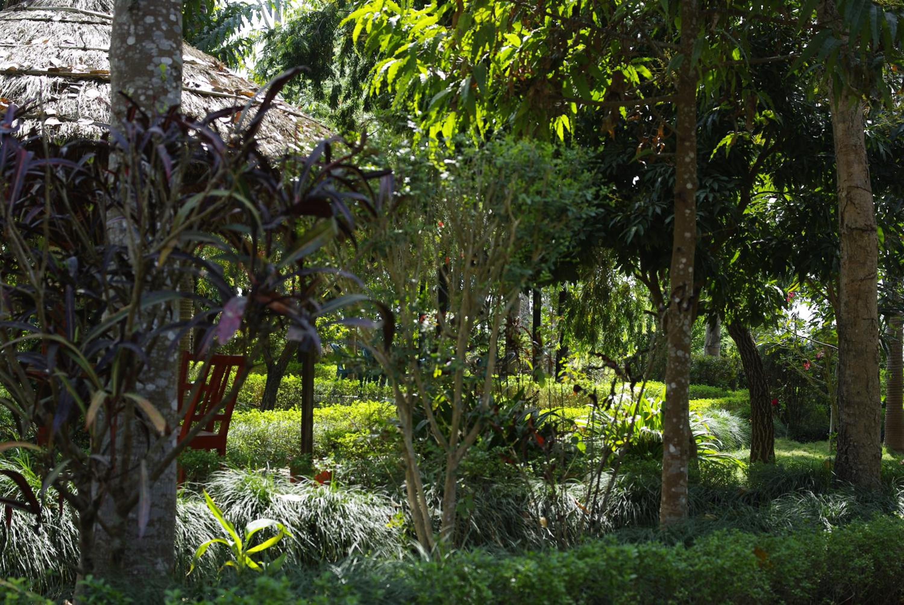 Forest Hideaway Resort Pvt Ltd